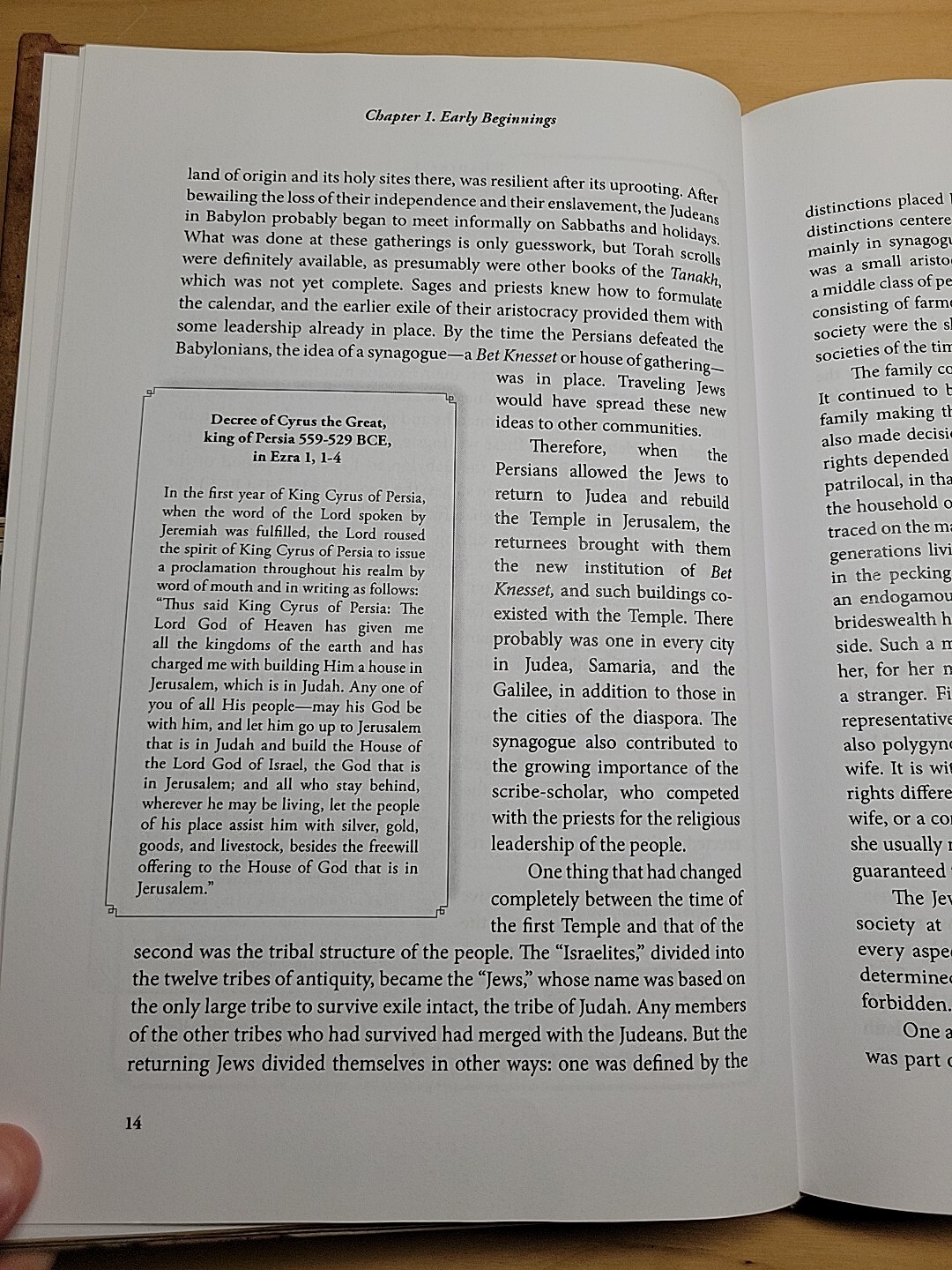 The Most Tenacious of Minorities : The Jews of Italy by Sara Reguer