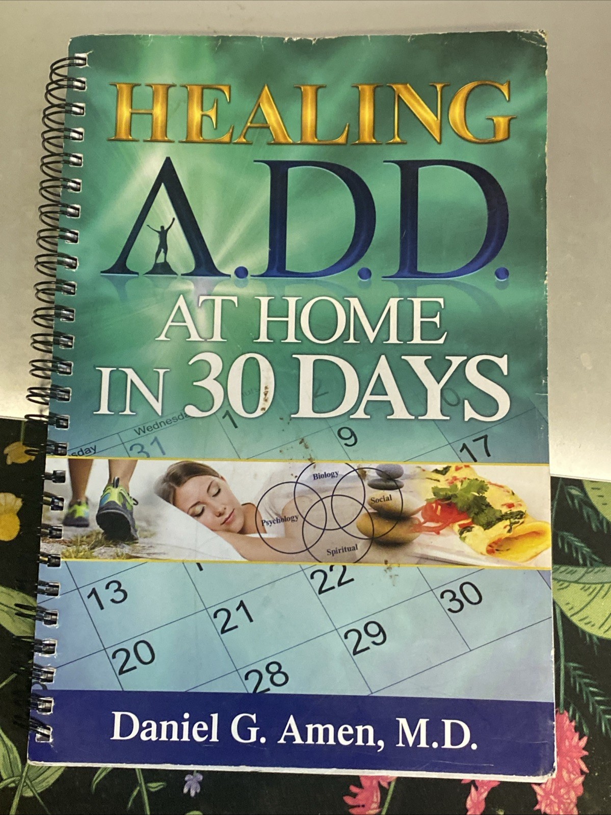 Healing ADD at Home in 30 Days Spiral Daniel G. Amen
