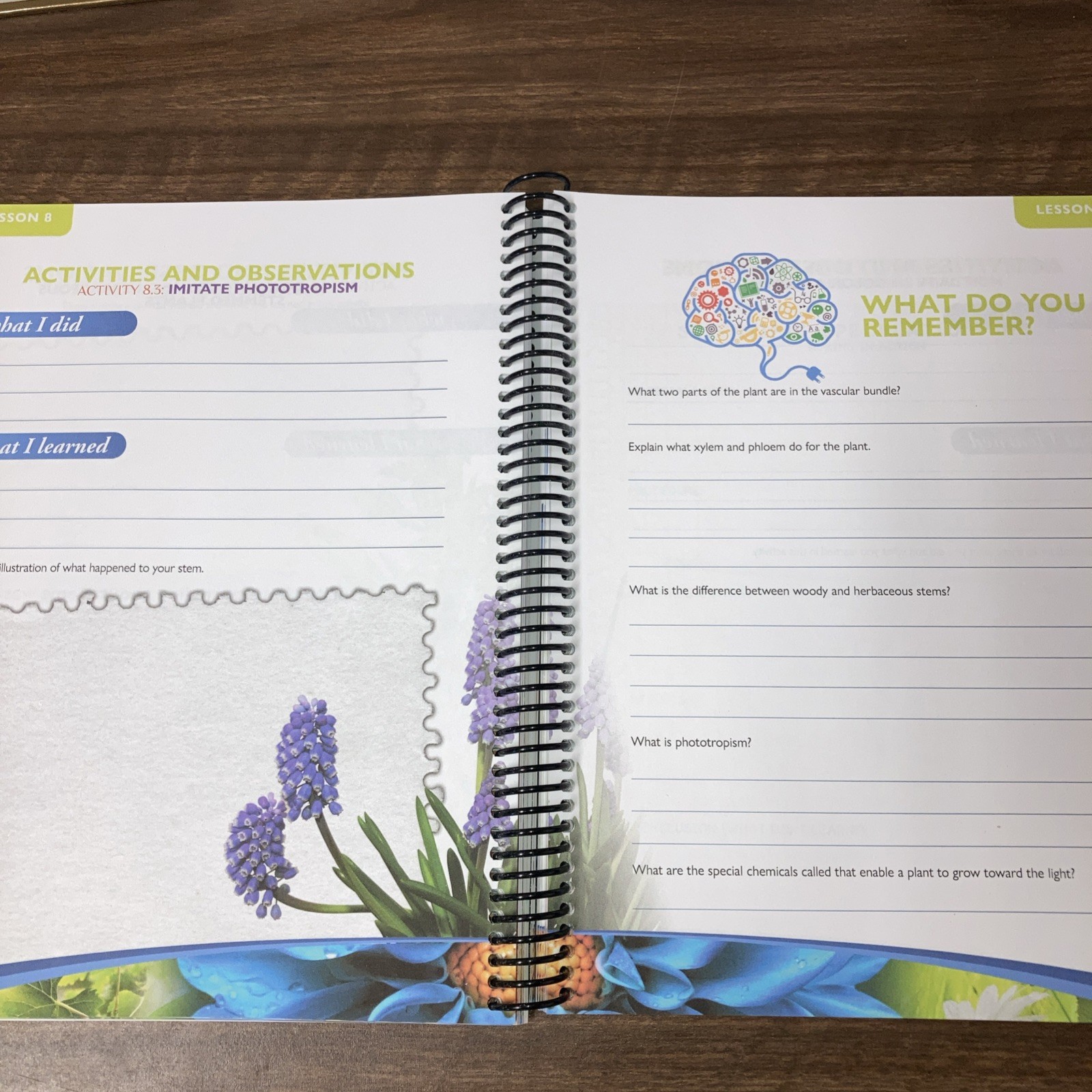 Exploring Creation with Botany Notebooking Journal 2020 Spiral 2nd Edition