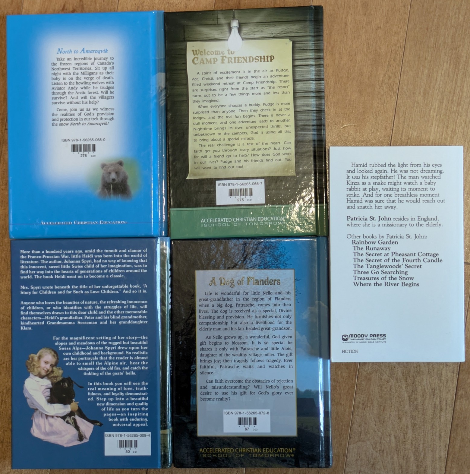 ACE Grade 5 Literature Books, Set of 5 books, Excellent Condition