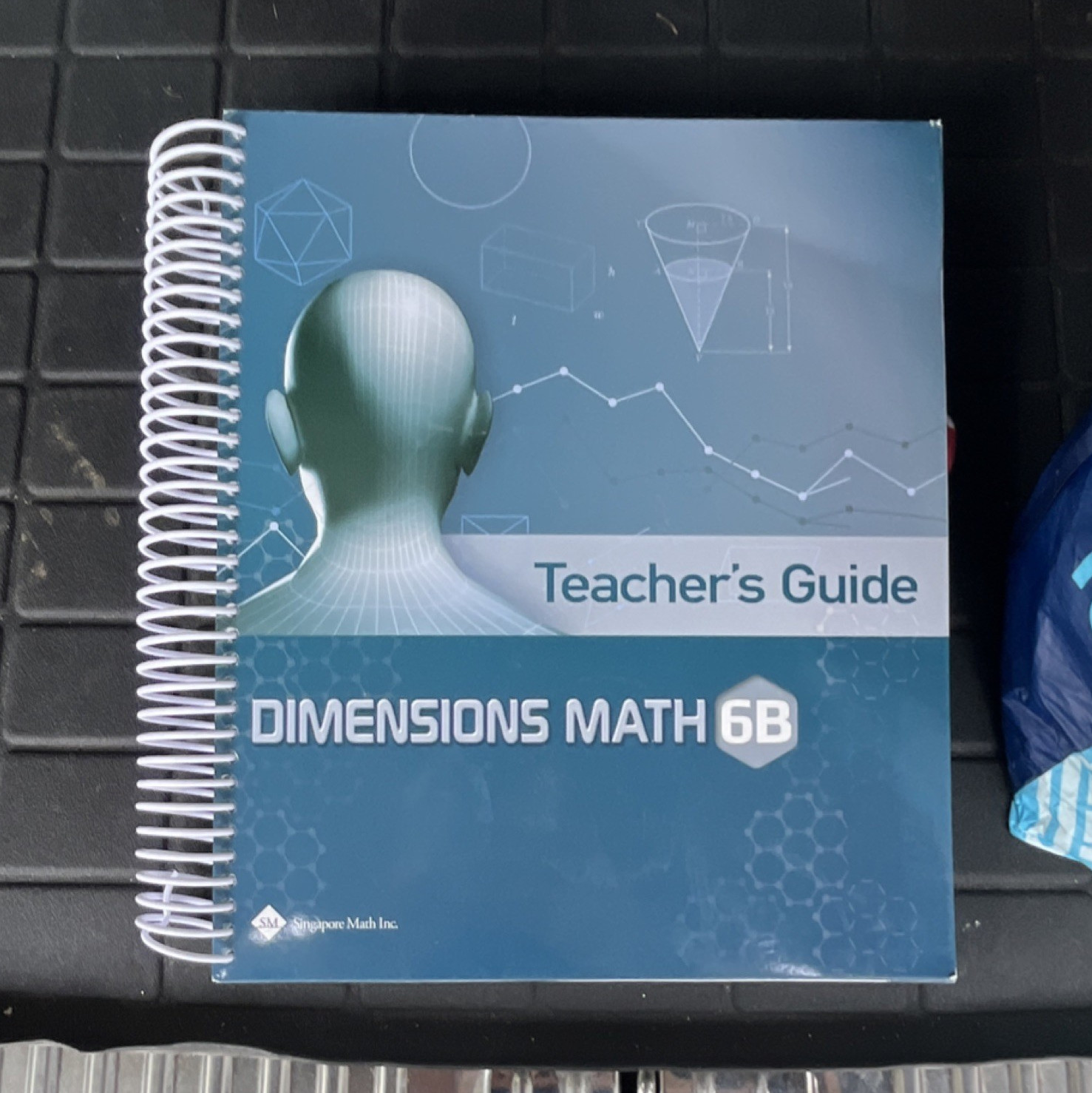 Singapore Math Inc. Dimensions Math 6B Teacher’s Guide Spiral Bound Mathematics