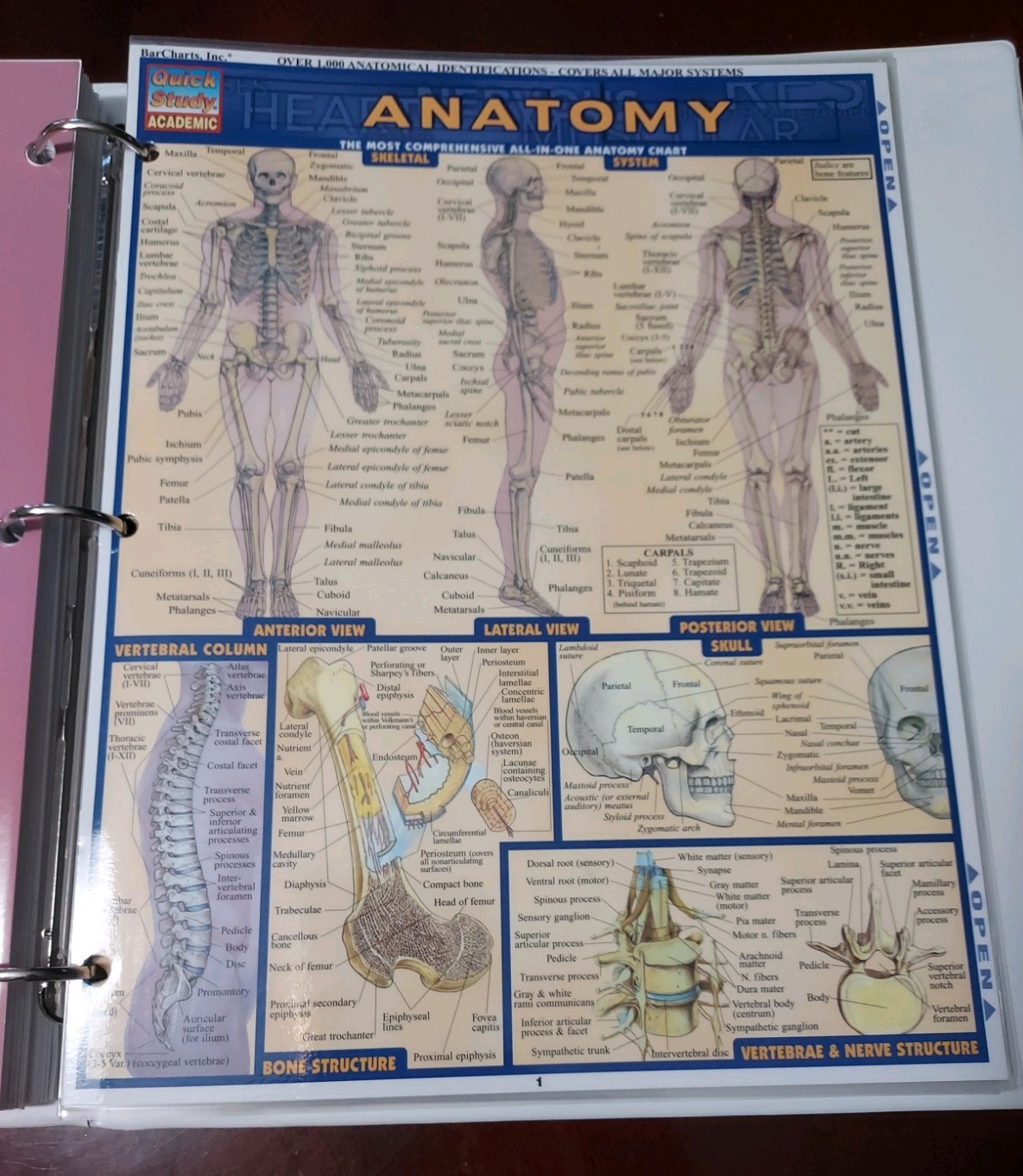 A Visual Analogy Guide to Human Physiology by Paul A. Krieger Anatomy QG & Test