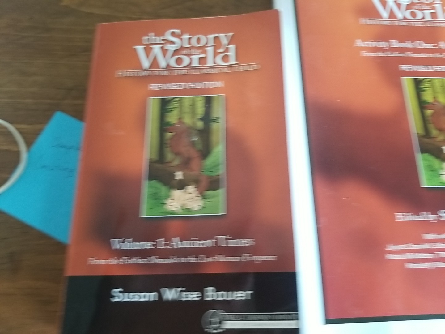 Story Of The World Volume 1 Bundle Book, Workbook* My Kids Colored A Few Pages!!
