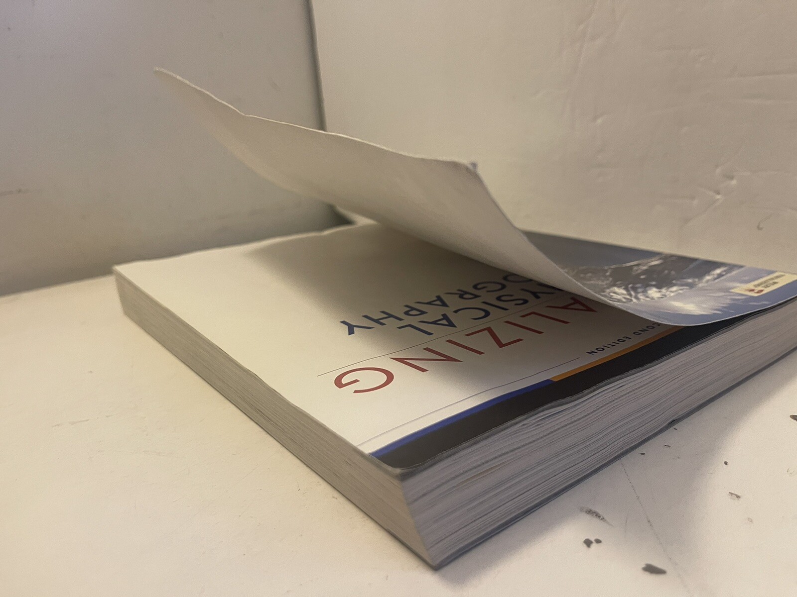 Visualizing Ser.: Visualizing Physical Geography by Timothy Foresman and Alan H.