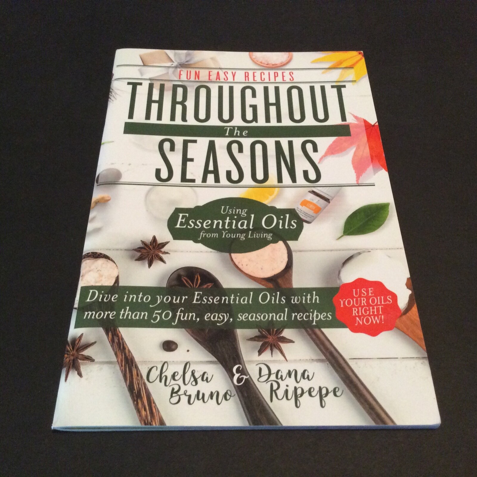 …Fun Easy Recipes Throughout the Seasons by Life Science Publishers (2017)