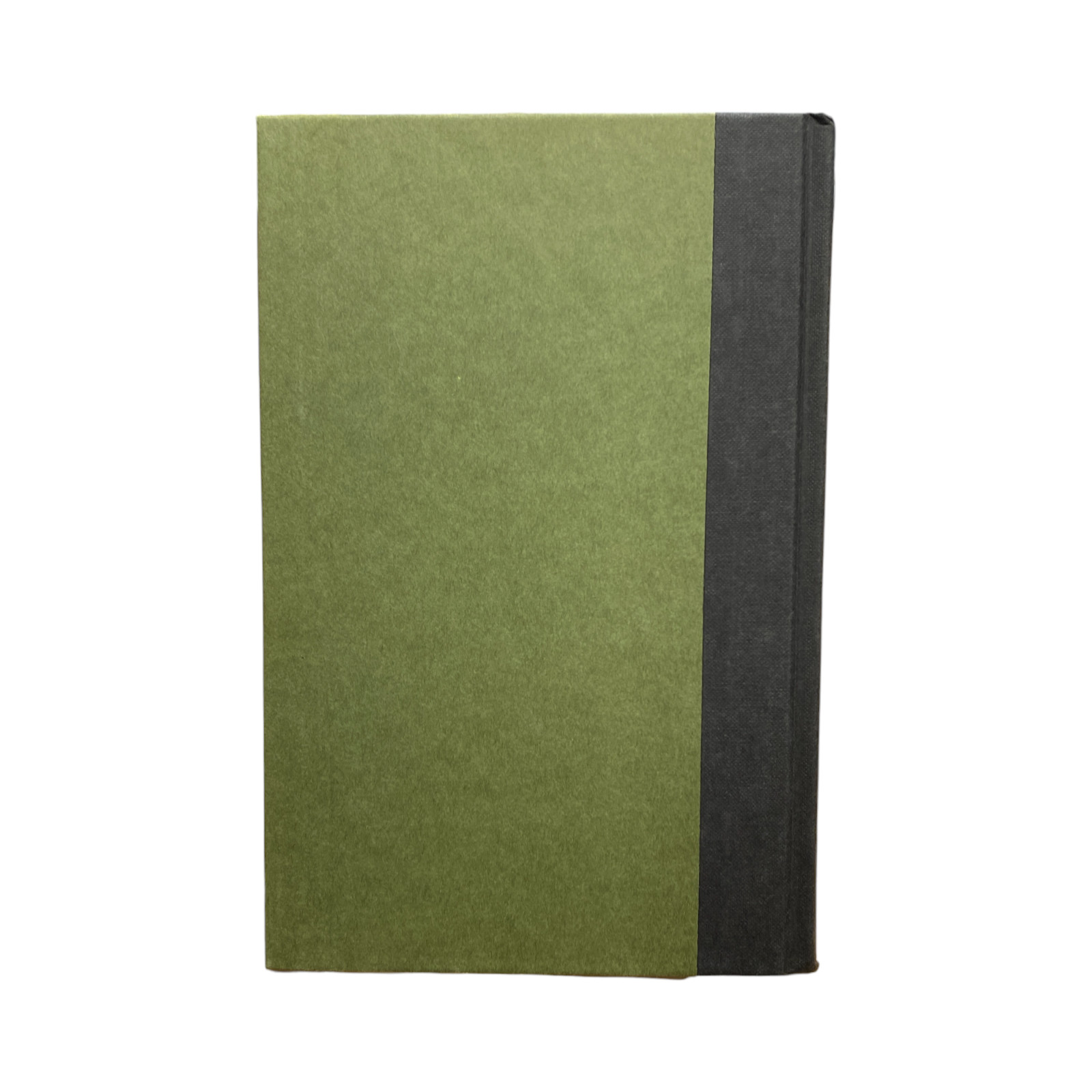 Dictionary of Word Origins by Ayto, John