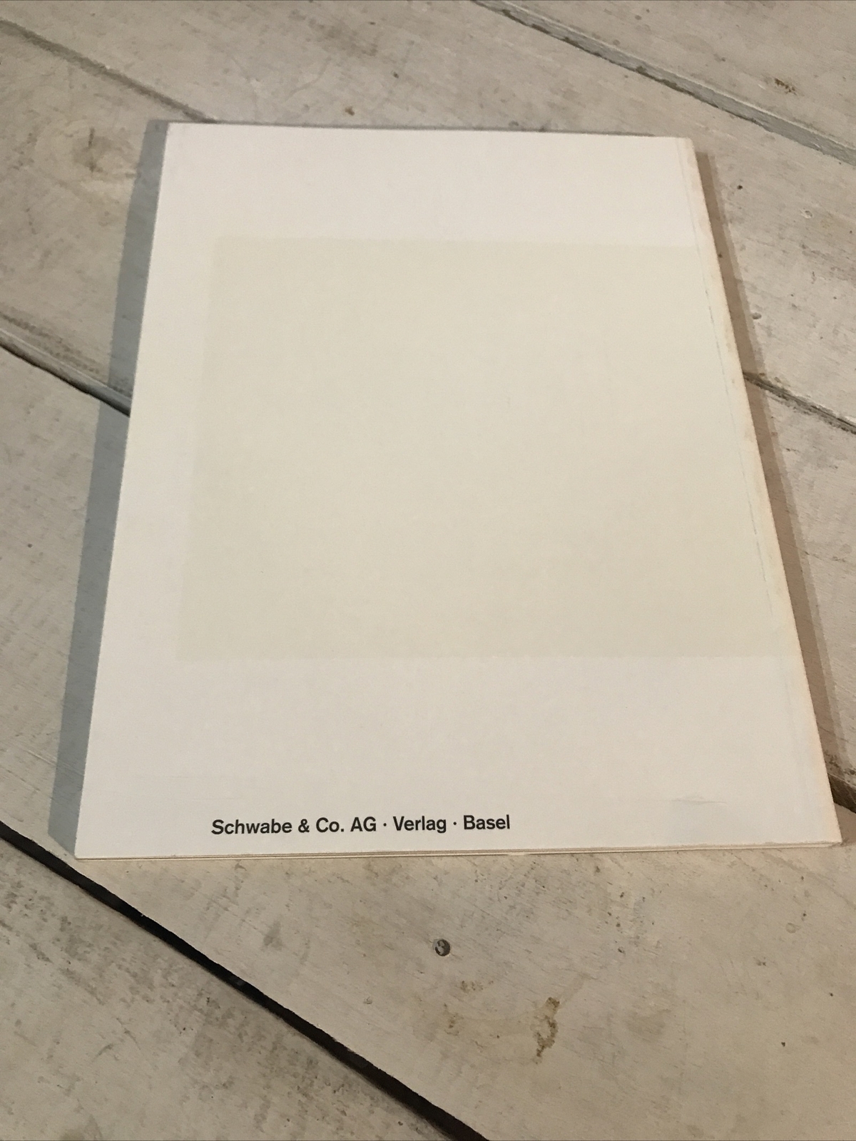 Pawel Althamer Kunsthalle Basel Contemporary Art Exhibition Catalog