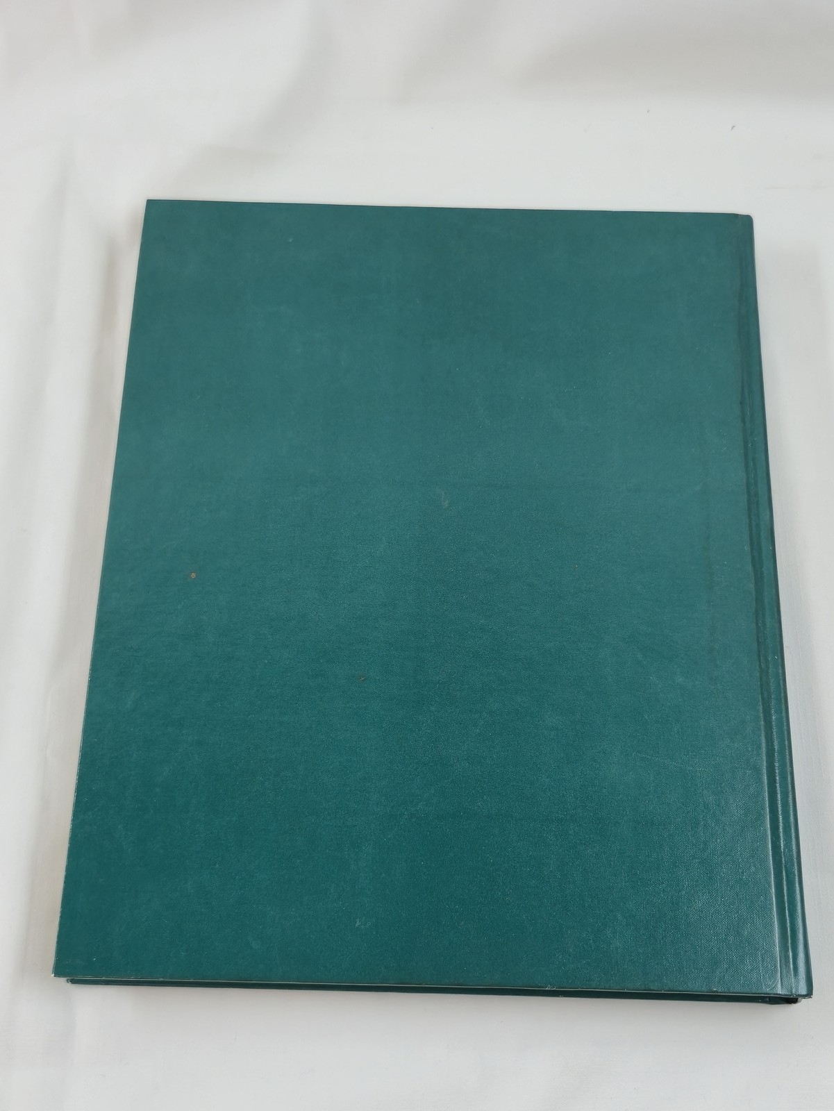 NASA SP-469 The Geology of the Terrestrial Planets 1984 Michael H. Carr