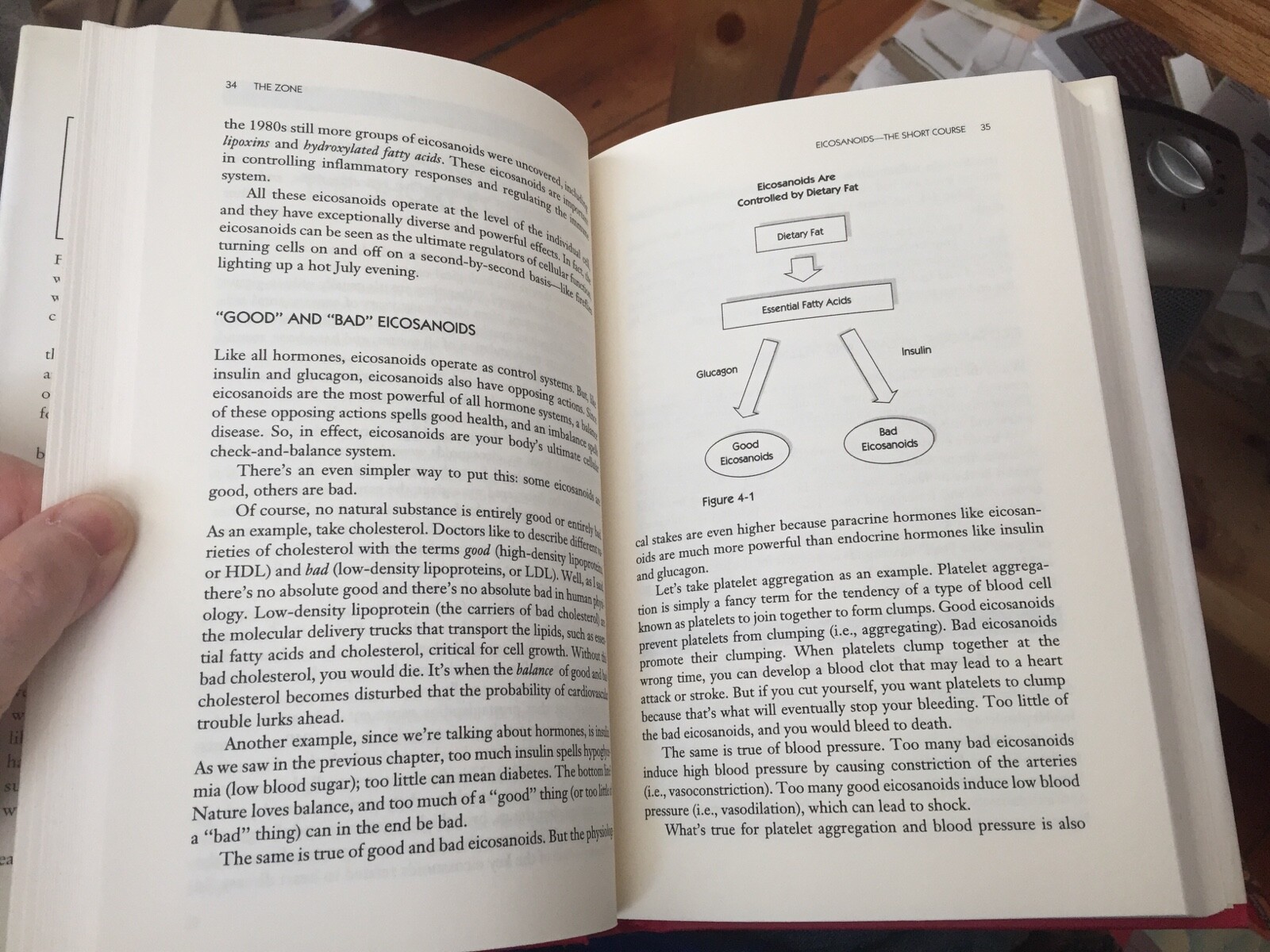 Enter The Zone : A Dietary Road map By Barry Sears – Hardcover Dust Jacket Book