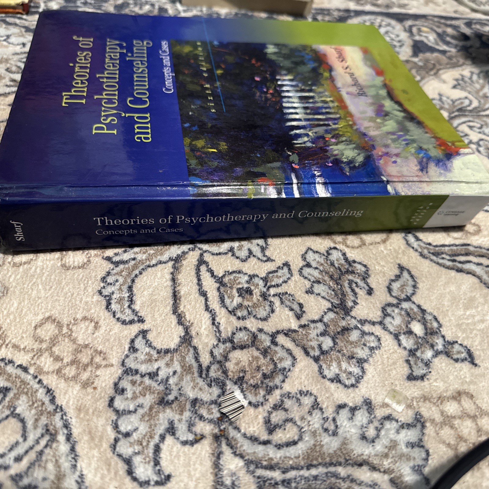Theories of Psychotherapy & Counseling: Concepts and Cases 6th Edition *GOOD*