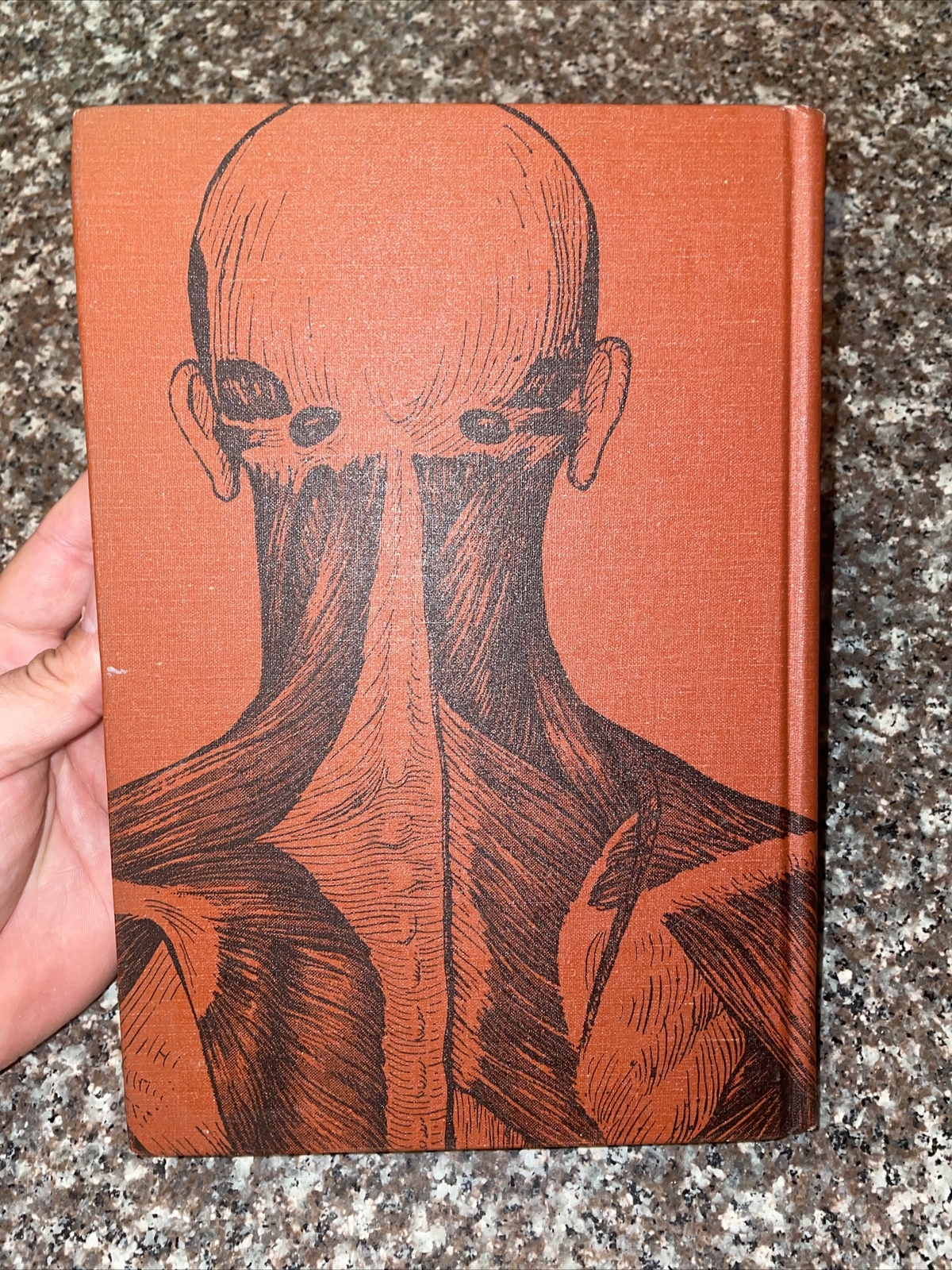 Primary Anatomy – Seventh Edition John Basmajian Hardback 1976 USA Seller!