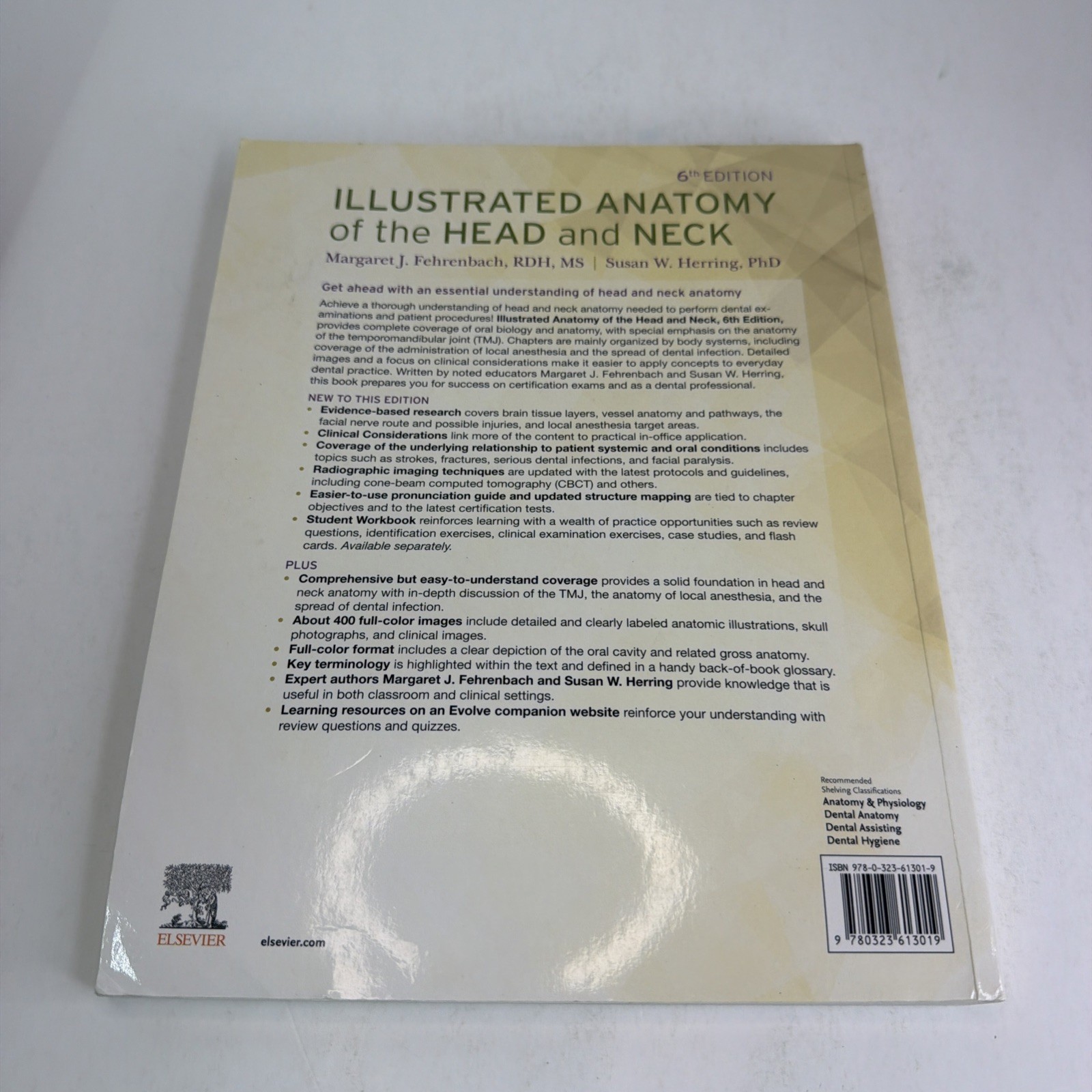 Illustrated Anatomy of the Head and Neck by Margaret J. Fehrenbach and Susan W.
