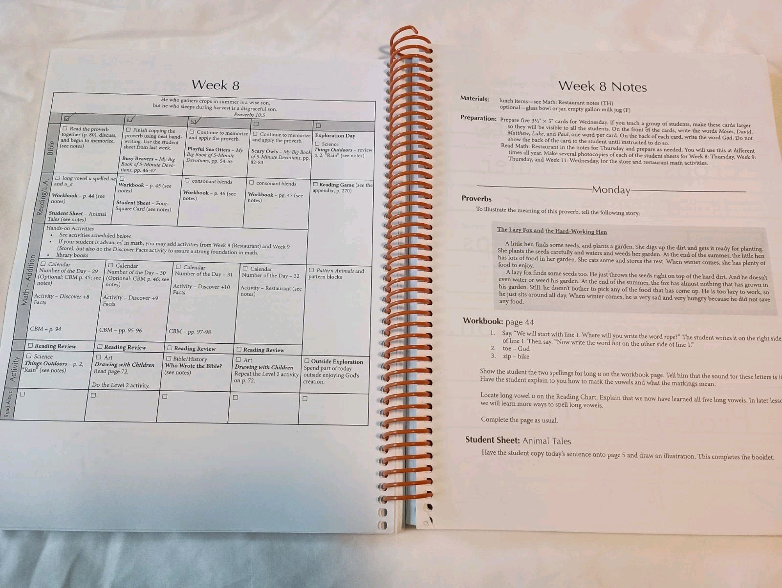 My Father’s World: Learning God’s Story Teacher’s Manual (First Grade)