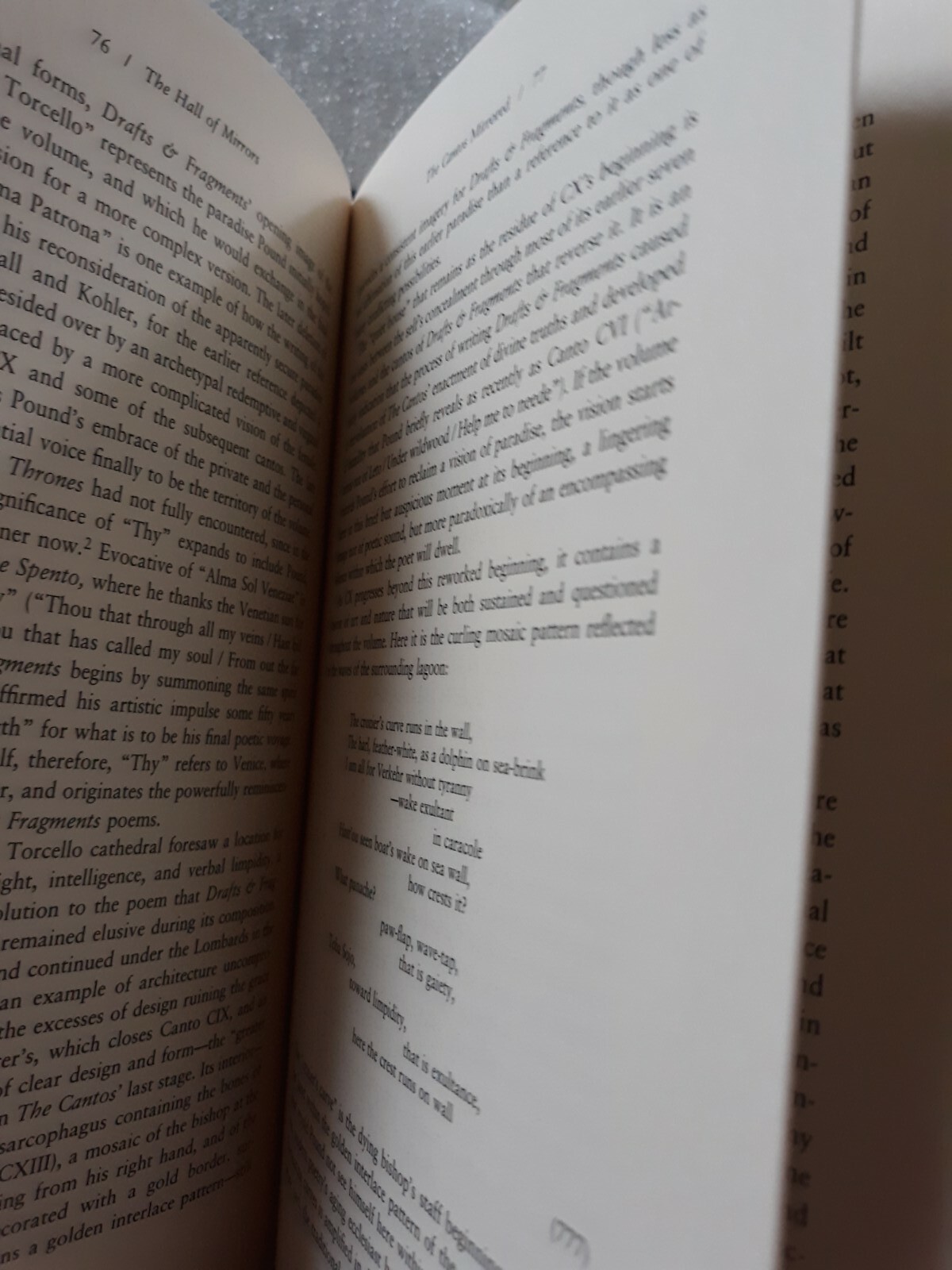 The Hall Of Mirrors, Peter Stoicheff, HCDJ, 1995, 1st Print, Ezra Pound, mh