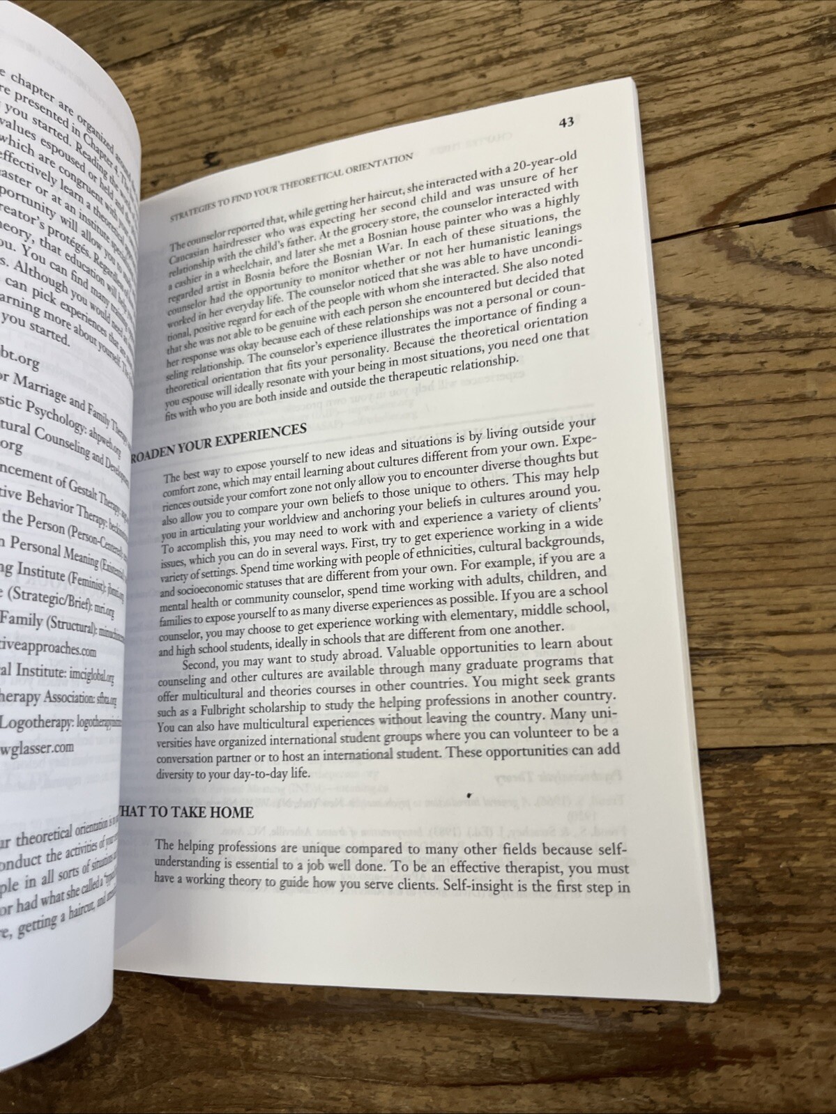 Developing Your Theoretical Orientation in Counseling and Psychotherapy by Duane