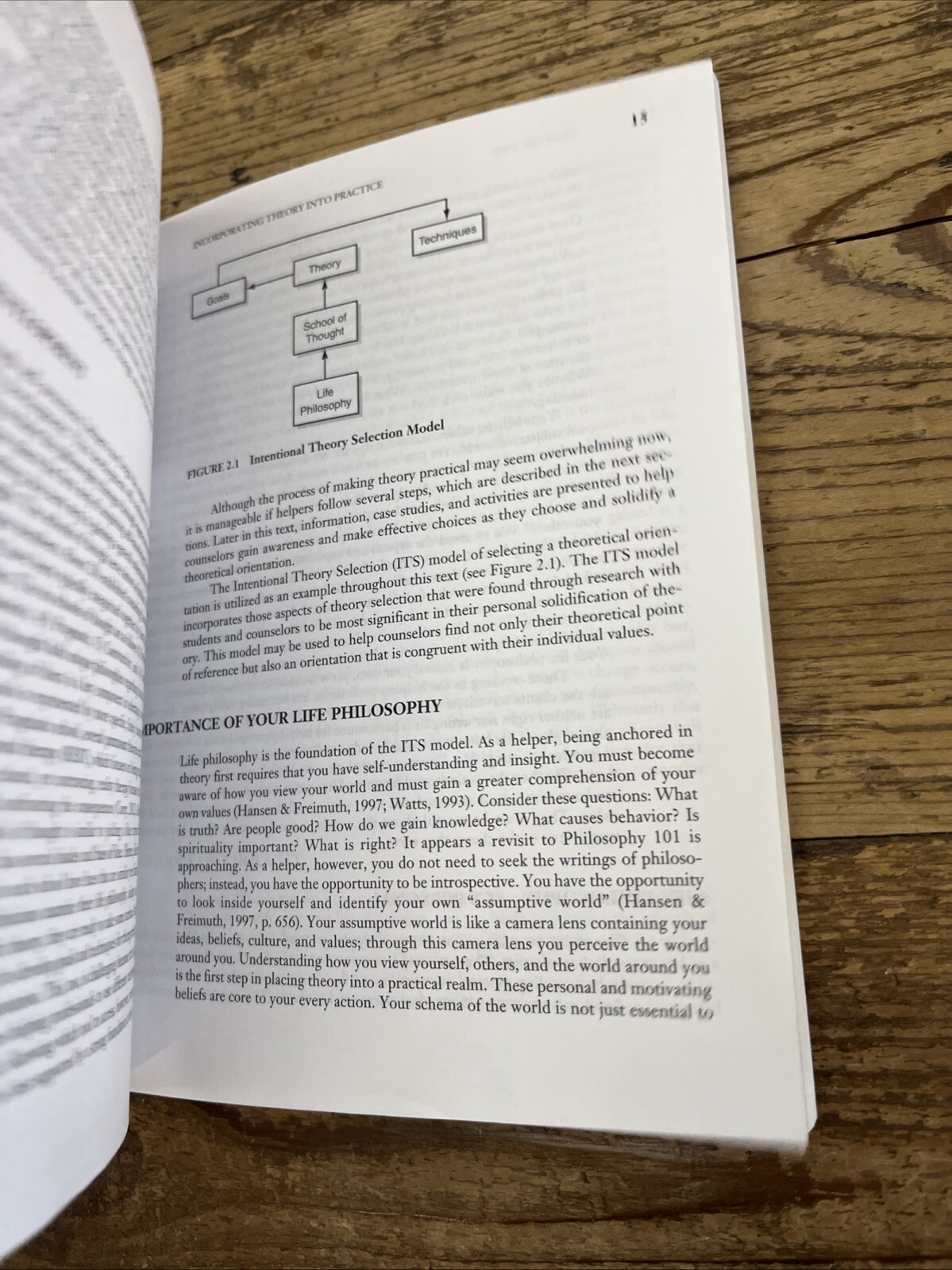 Developing Your Theoretical Orientation in Counseling and Psychotherapy by Duane