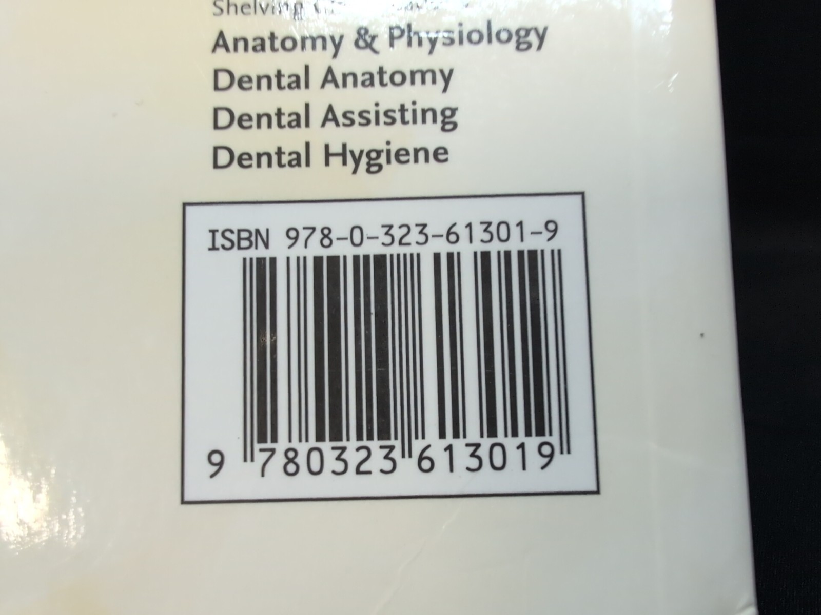 Illustrated Anatomy of the Head and Neck By Margaret J. Fehrenbach Paperback
