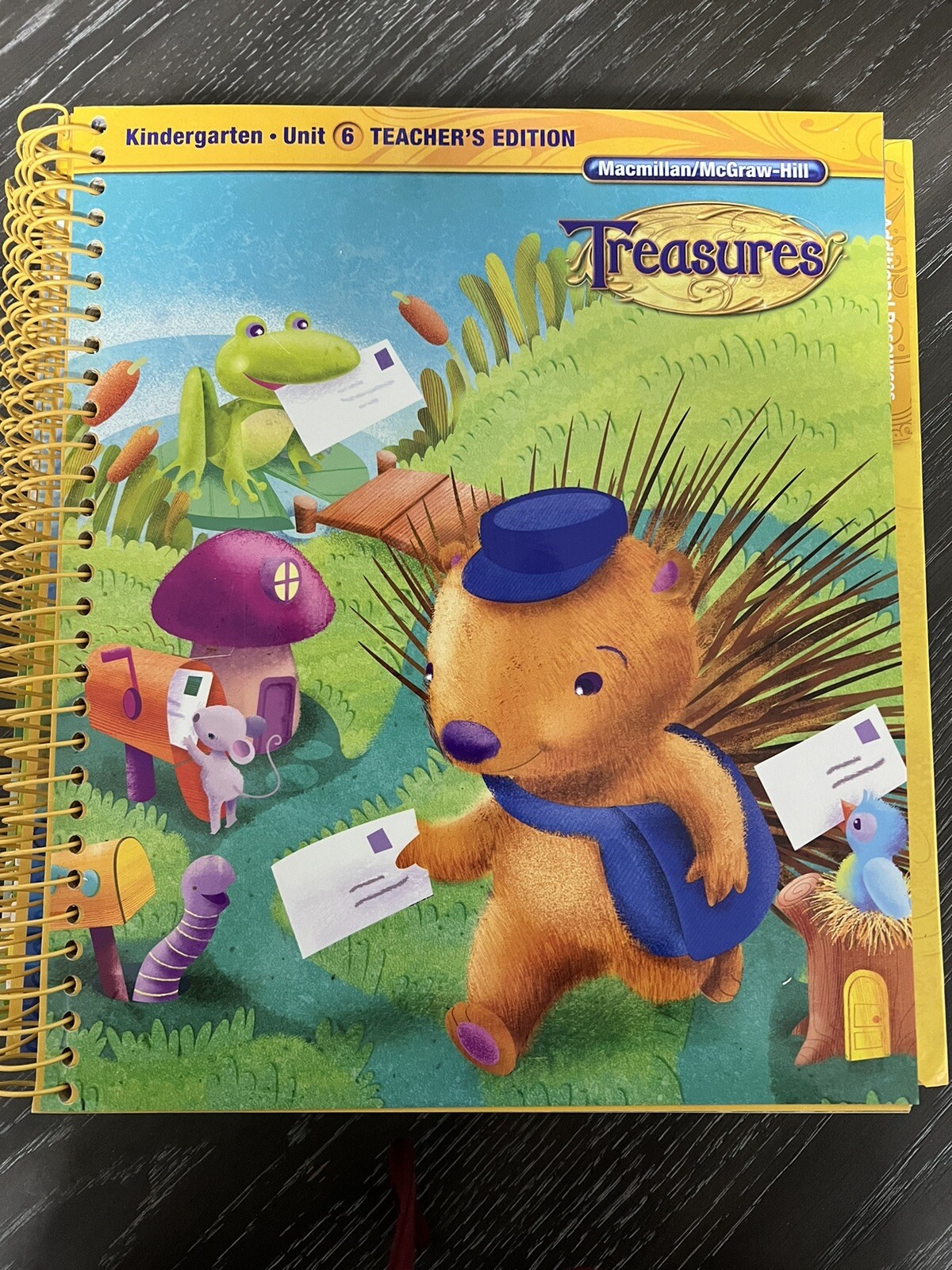 Macmillan McGraw Hill Treasures Grade K Kindergarten Teacher’s Edition 1-8 & 10