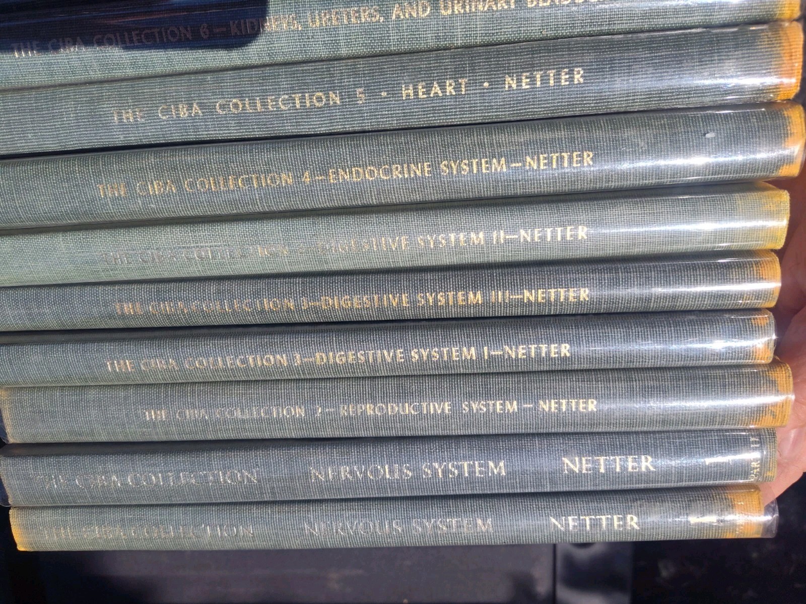 The Ciba Collection of Medical Illustrations 10 Volumes F Netter- Classic Set HB