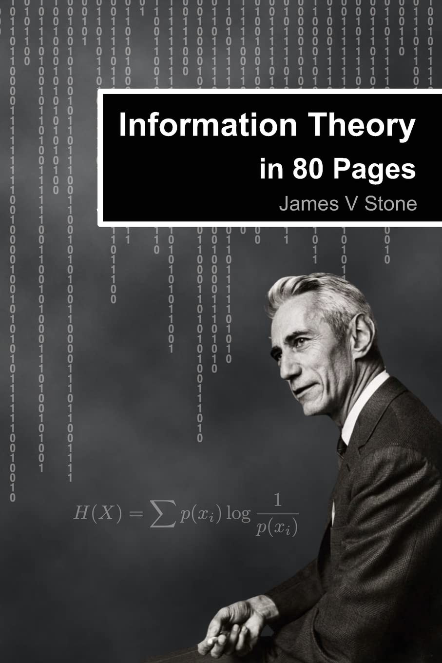 Information Theory in 80 Pages (Tutorial Introductions) by James V Stone