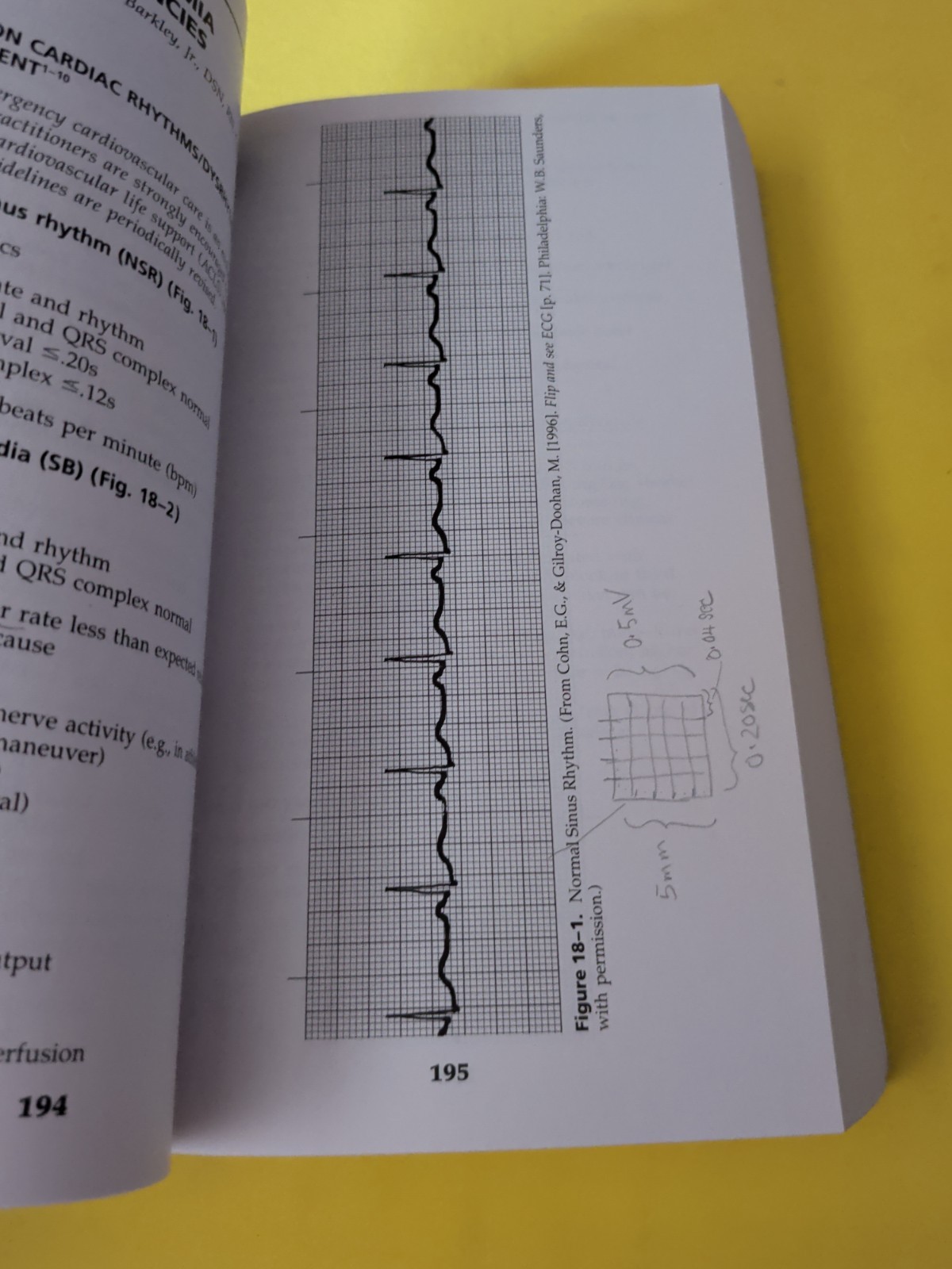 Practice Guidelines for Acute Care Nurse Practitioners by Thomas W. Barkley Jr.