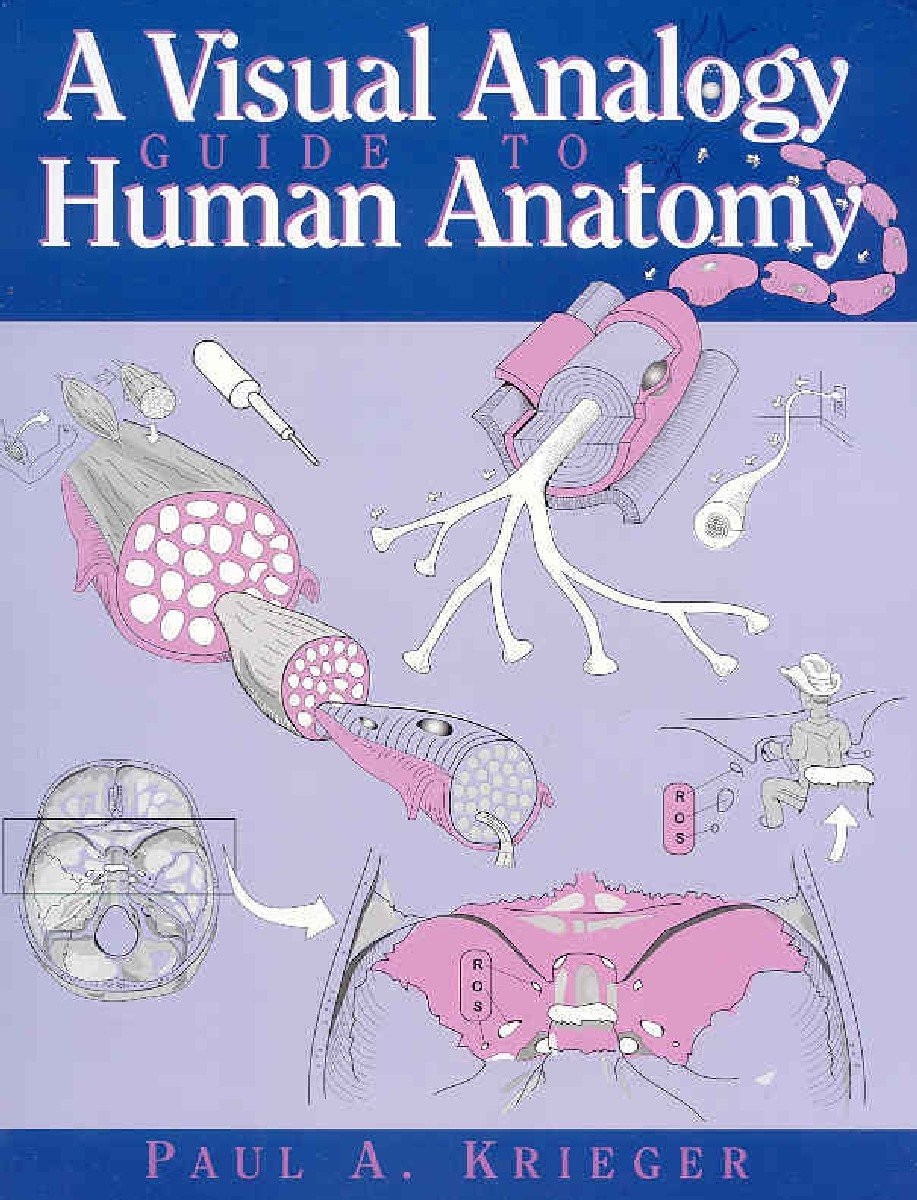 A Visual Analogy Guide to Human Anatomy by Krieger