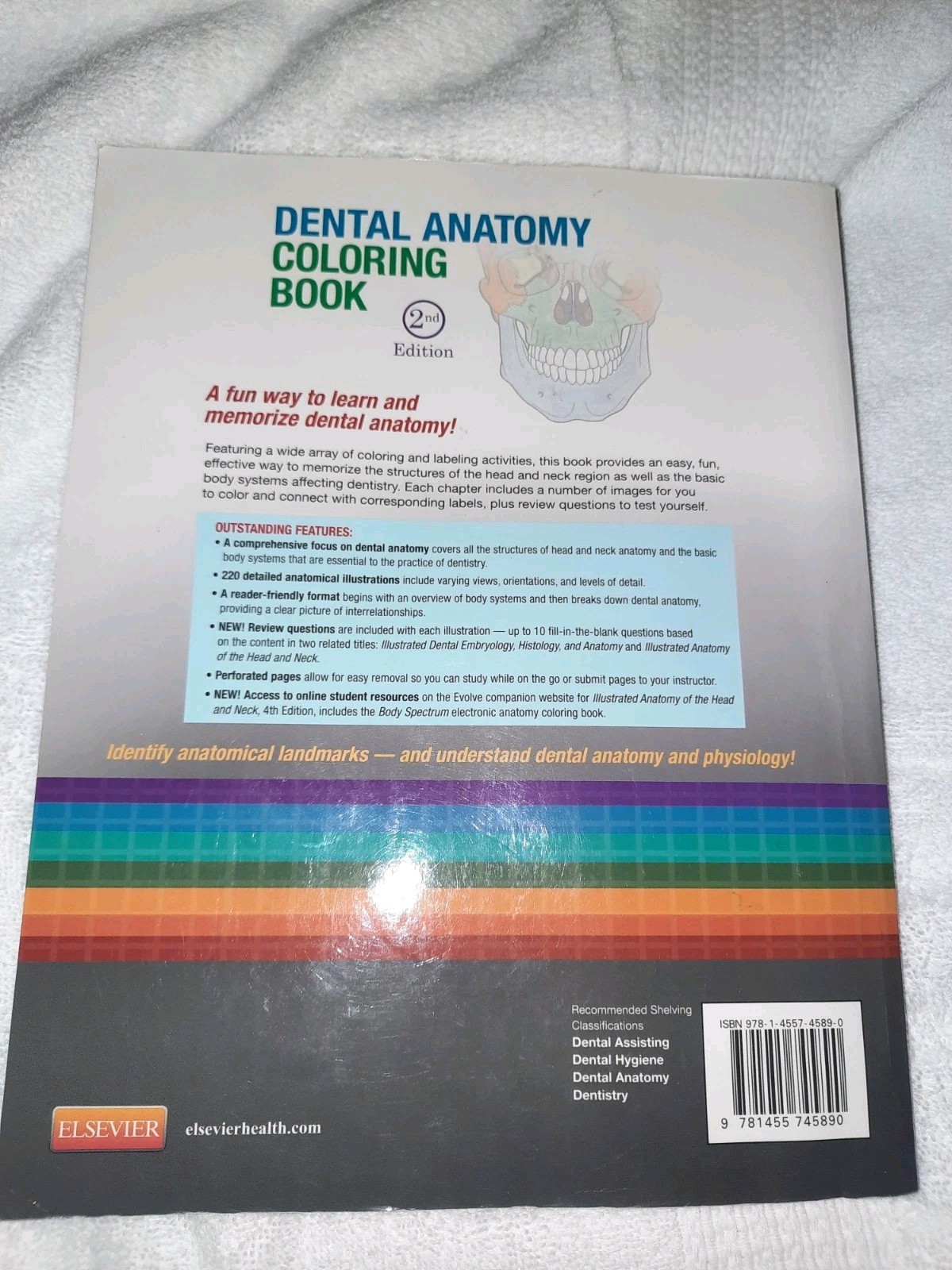 Dental Anatomy Coloring Book by Margaret J. Fehrenbach (2013, Trade Paperback)