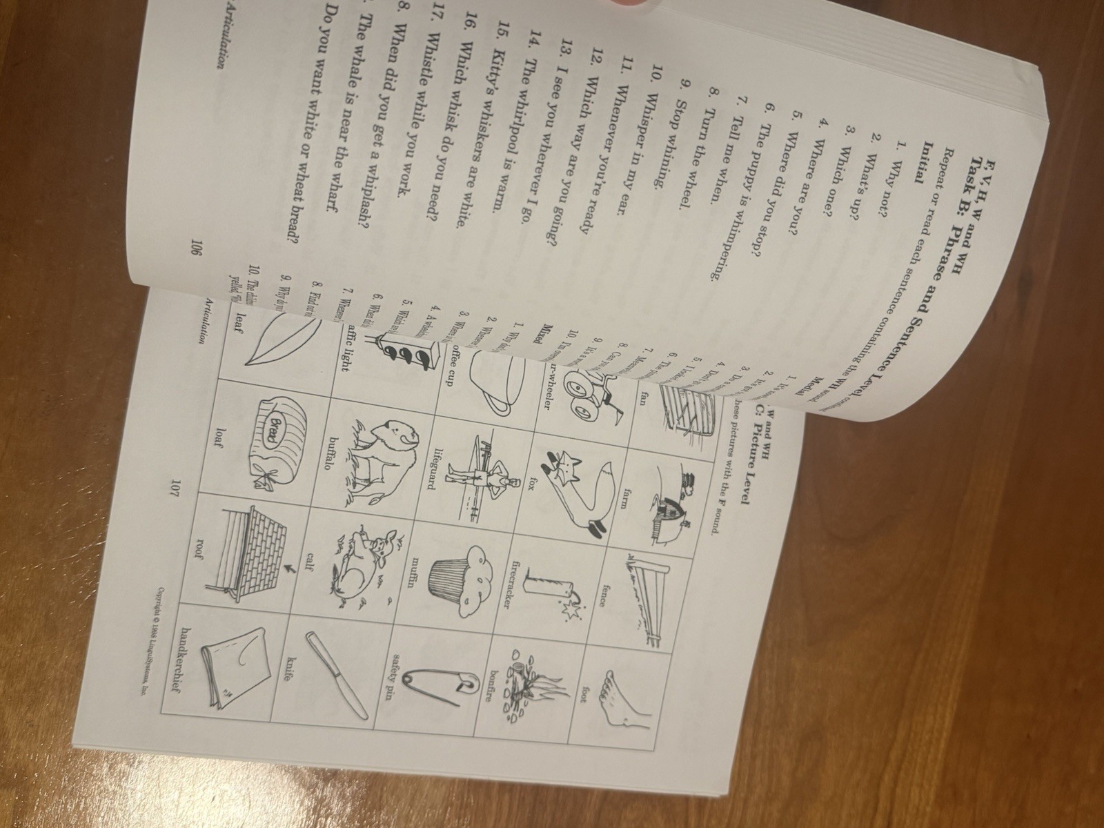 1998 Linguisystems HELP for ARTICULATION 1998 Vintage Exceptional condition