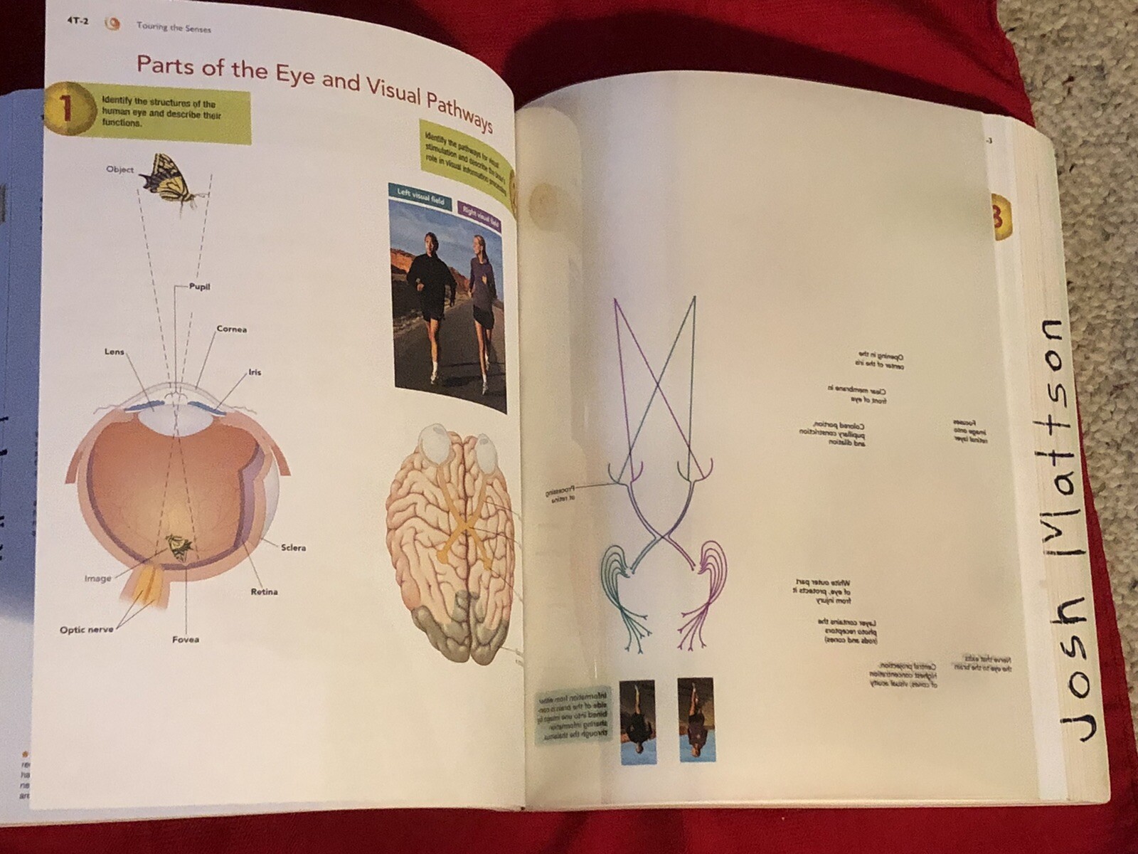 2014 PSYC 100 PSYCHOLOGY TEXTBOOK MCGRAWHILL HVCC PB BOOK LAURA A KING