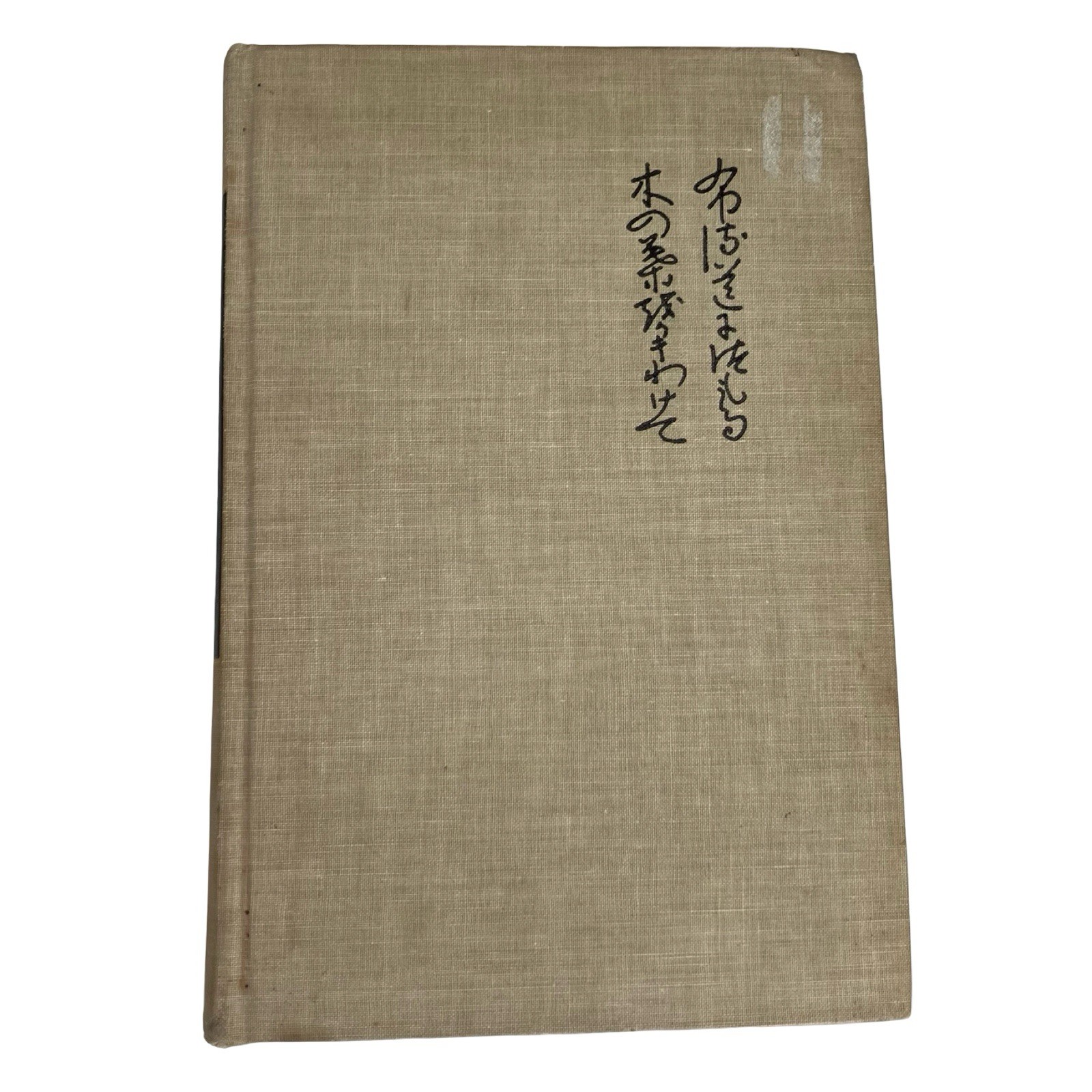 Sources of Japanese Tradition Intro To Asian Civilization Columbia 1958 VTG Text