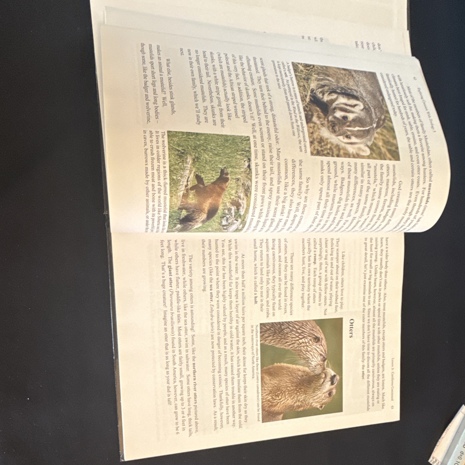 Apologia Exploring Creation Zoology 3 Hardcover 2008 Jeannie K. Fulbright