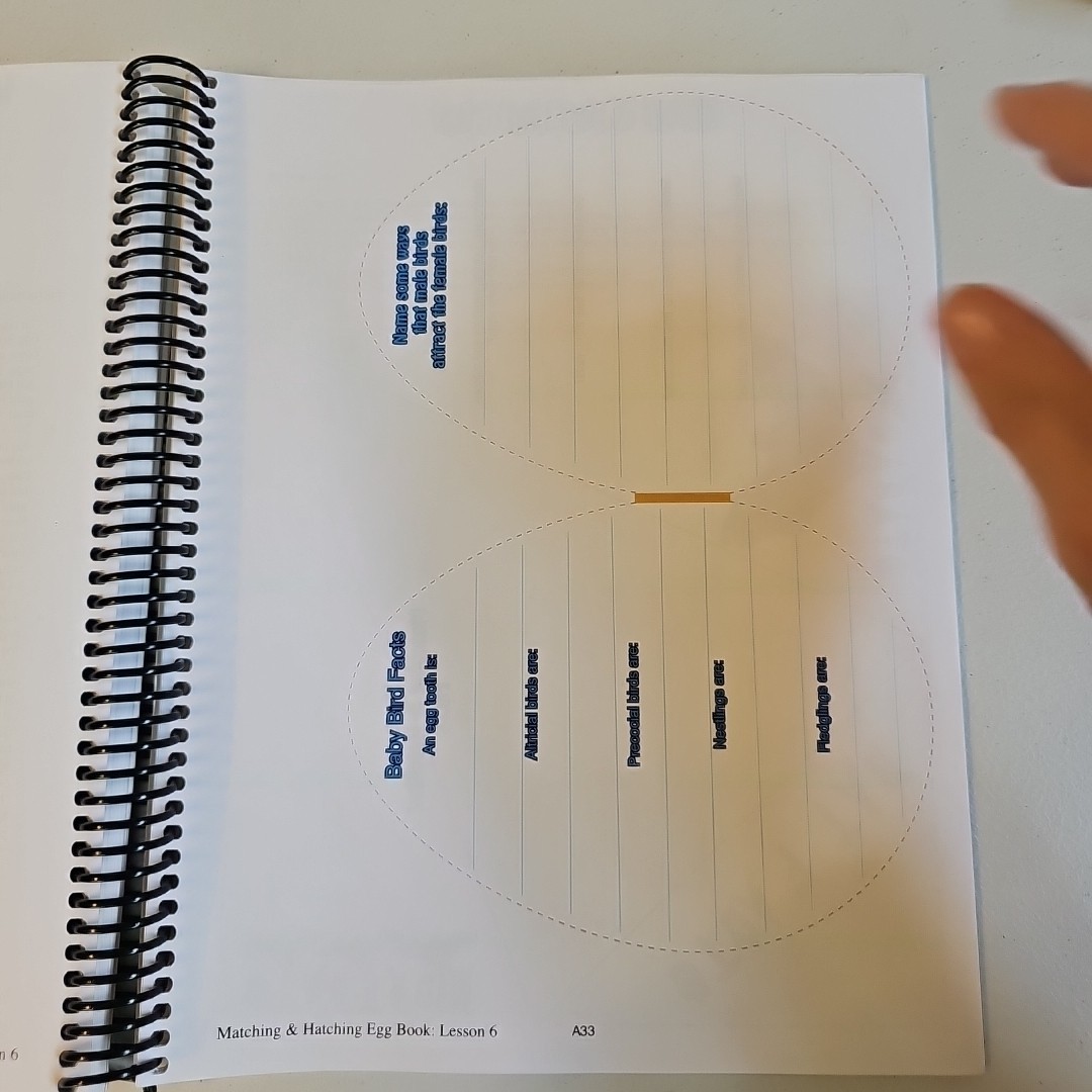 Exploring Creation with Zoology 1 Notebooking Journal by Jeannie Fulbright…
