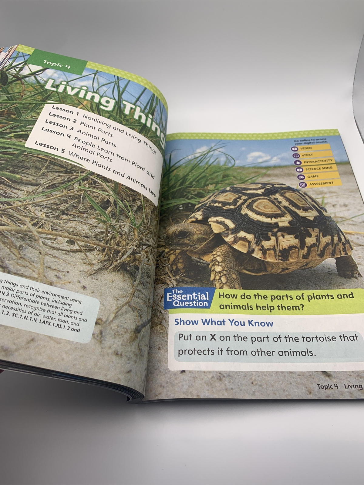 Elevate Science Homeschooling Grade 1 Florida Textbook/Workbook New – No Writing