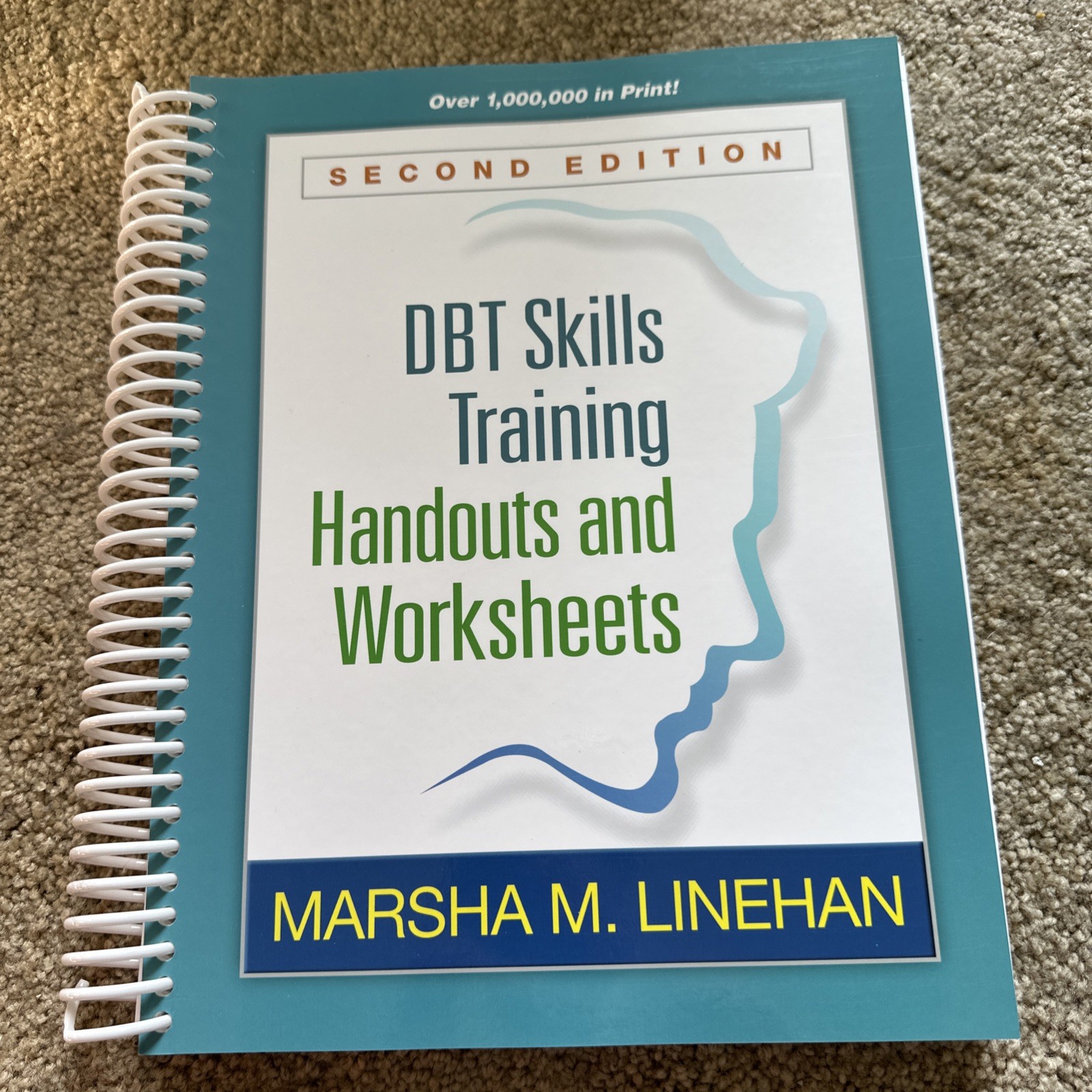 DBT Skills Training Handouts and Worksheets by Marsha M. Linehan