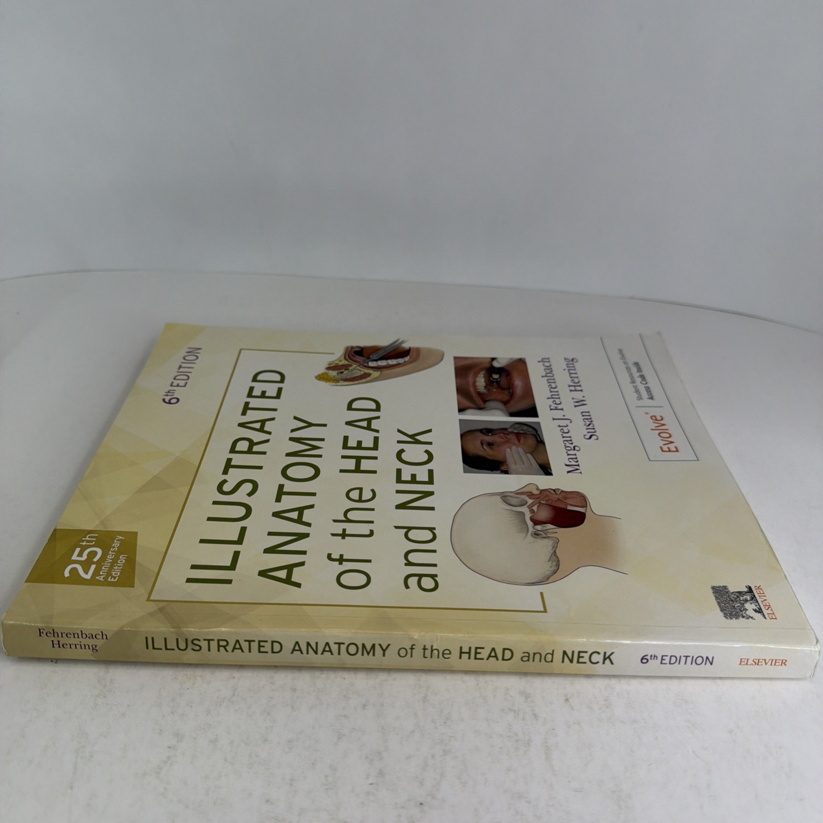 Illustrated Anatomy of the Head and Neck by Margaret J. Fehrenbach and Susan W.
