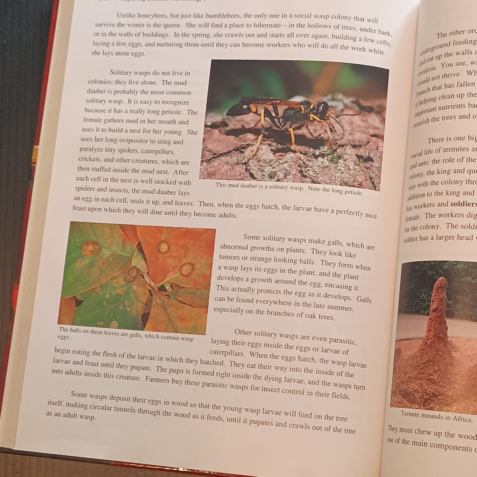 Young Explorer Exploring Creation with Zoology 1 HC Jeannie K. Fulbright