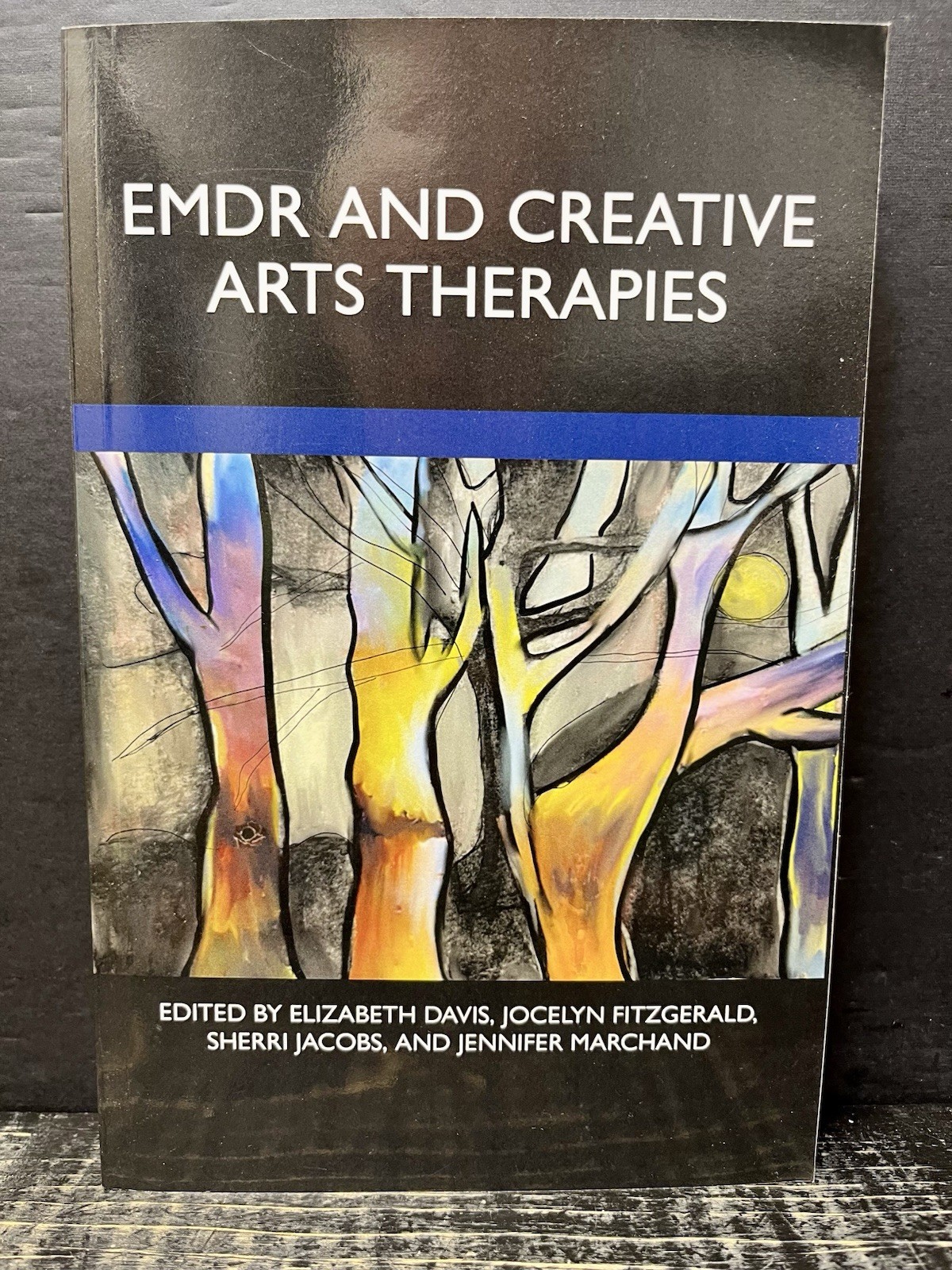 EMDR and Creative Arts Therapies 2023 Softcover Like New U1