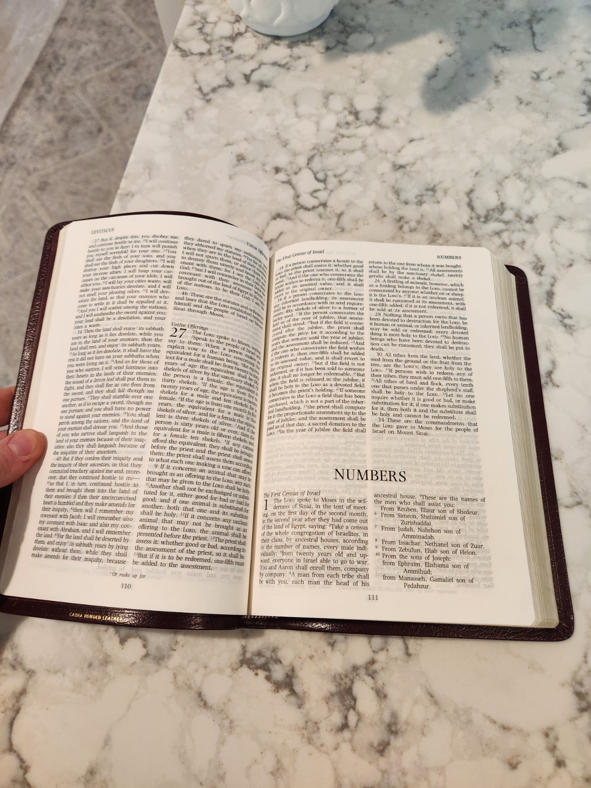 Holy Bible NRSV Minster Text Edition Dark Red Bonded Leather Burgundy Cambridge
