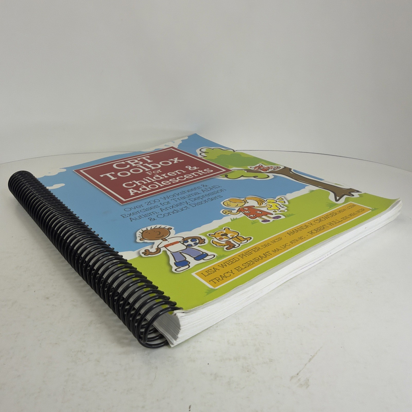 CBT Toolbox for Children & Adolescents: Over 220 Worksheets & Exercises 2017