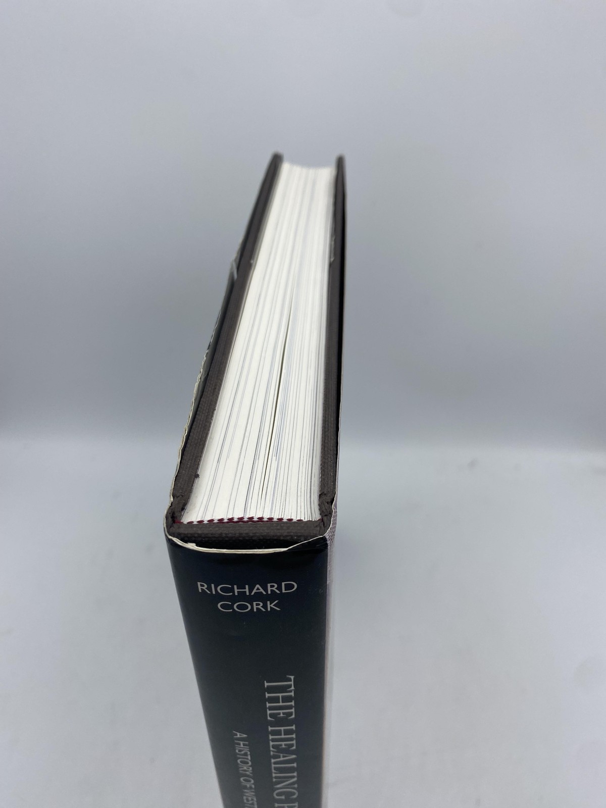 The Healing Presence of Art A History of Western Art in Hospitals Cork, Richard