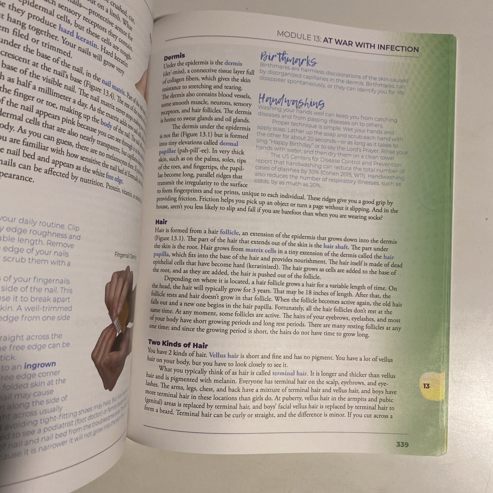 Apologia Exploring Creation with Health and Nutrition 2nd Edition,