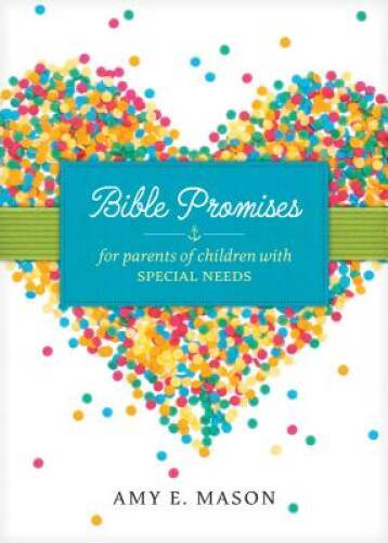 Bible Promises for Parents of Children with Special Needs – Paperback – GOOD