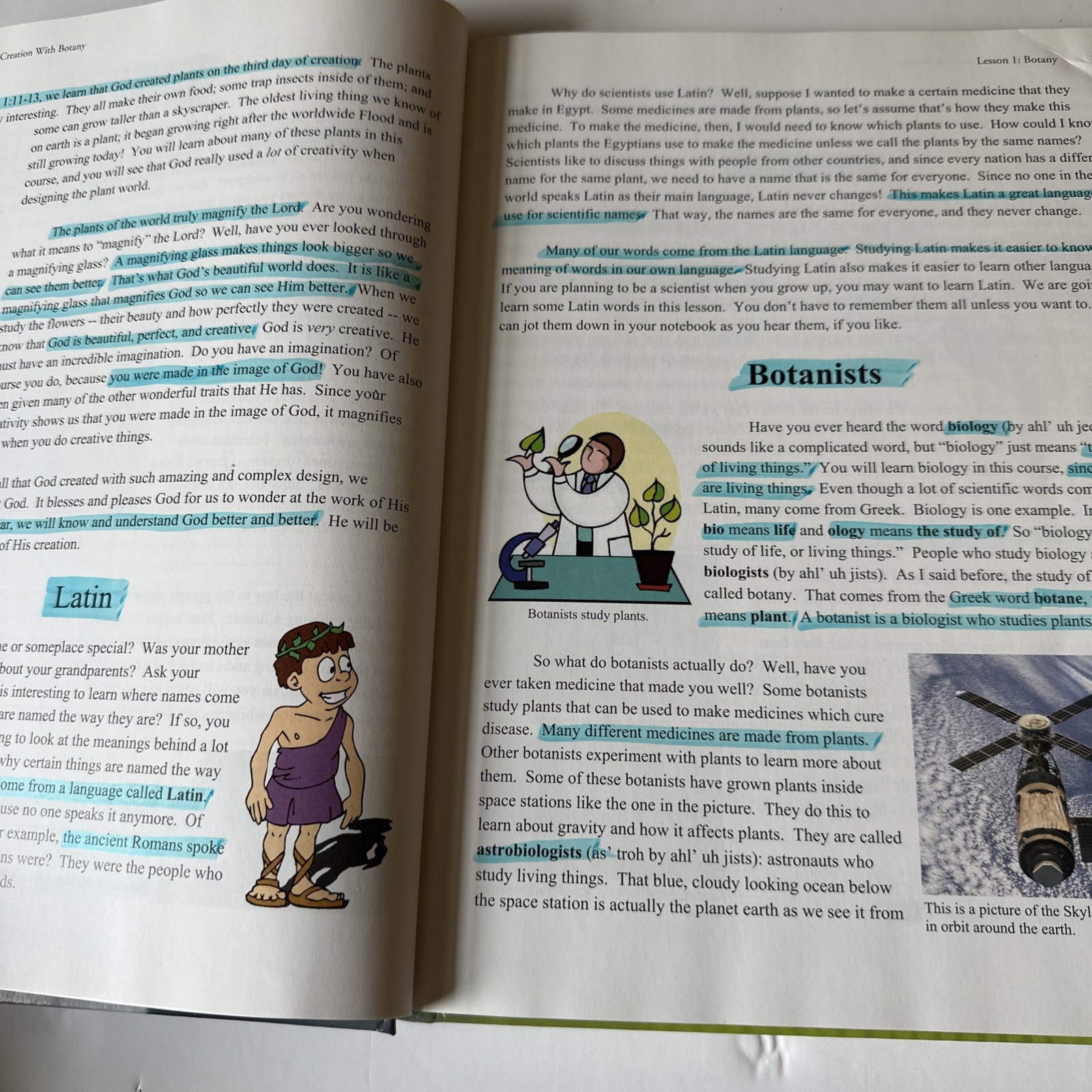 Exploring Creation With Botany Young Explorer Series – Apologia – PLUS Journal
