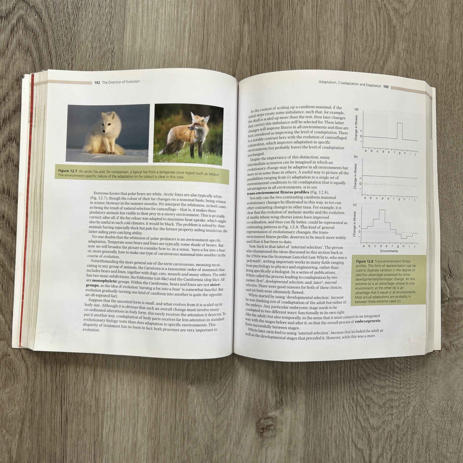Evolution: A Developmental Approach by Wallace Arthur Softcover Book 2011