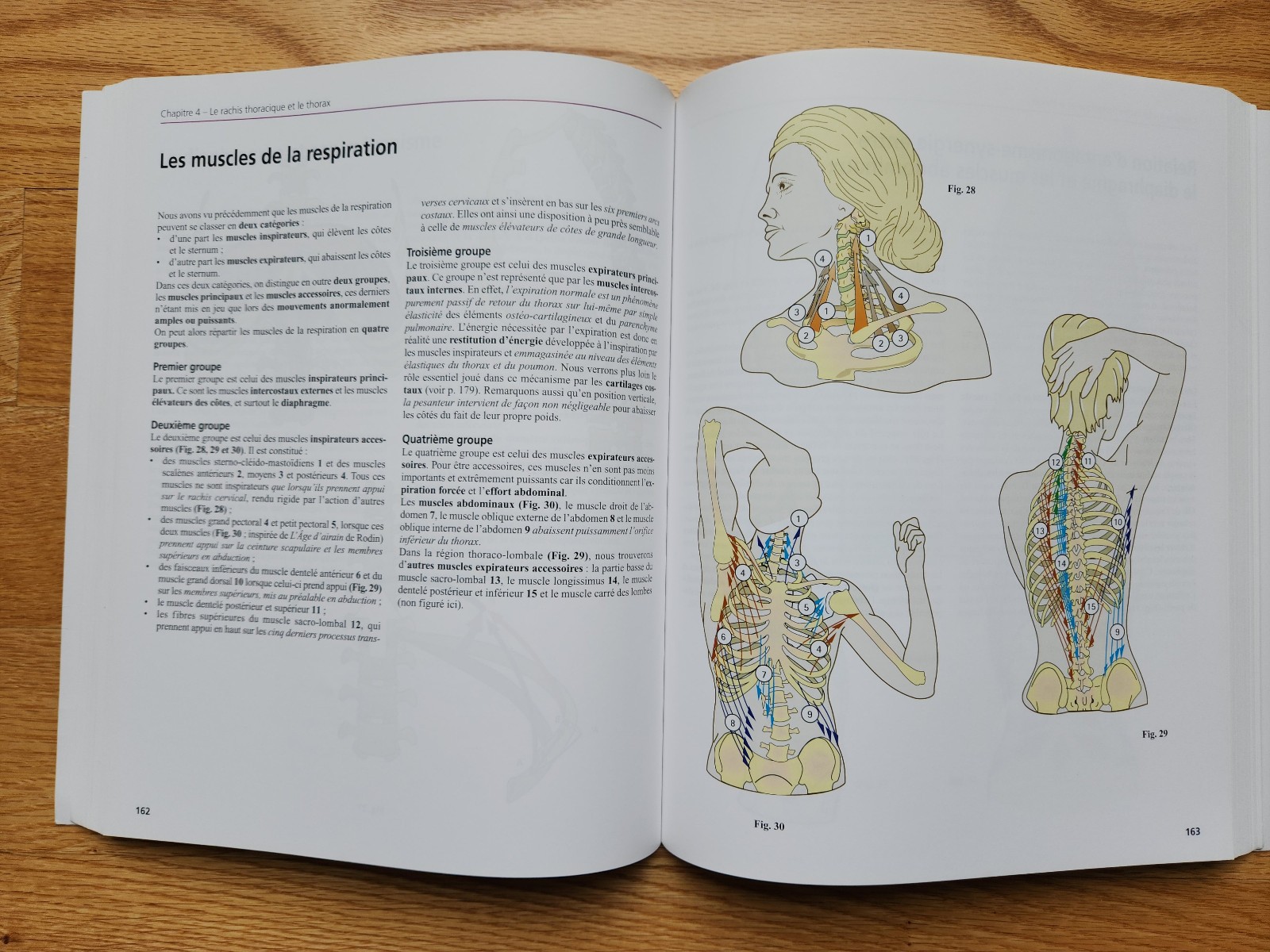 Anatomie Fonctionnelle – A.I. Kapandji – 7th Edition – 3-Volume Set – French