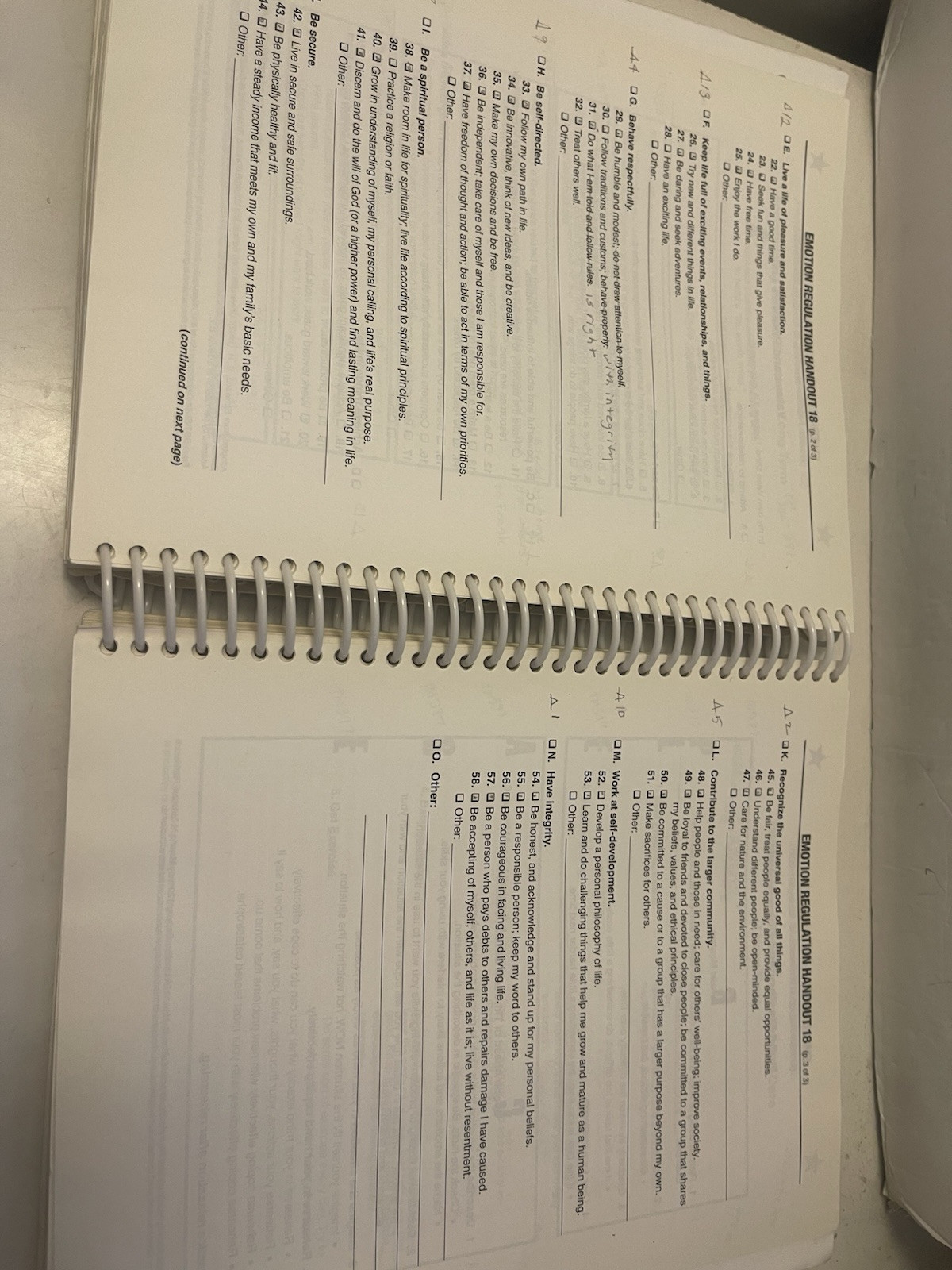 DBT Skills Training Handouts and Worksheets 2014 Spiral Bound Paperback