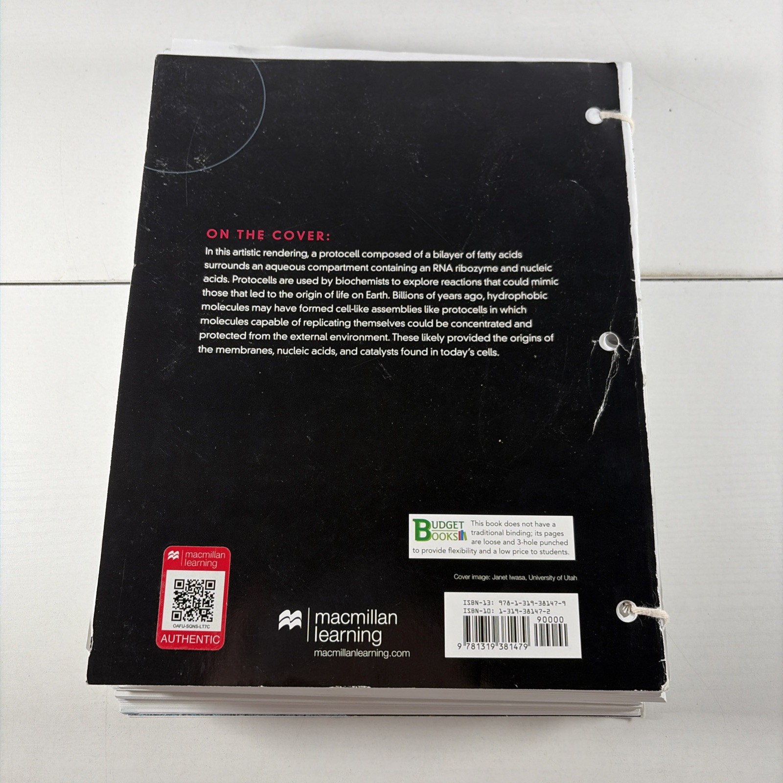 Lehninger Principles of Biochemistry Cox & Nelson 8th Edition Looseleaf 2021