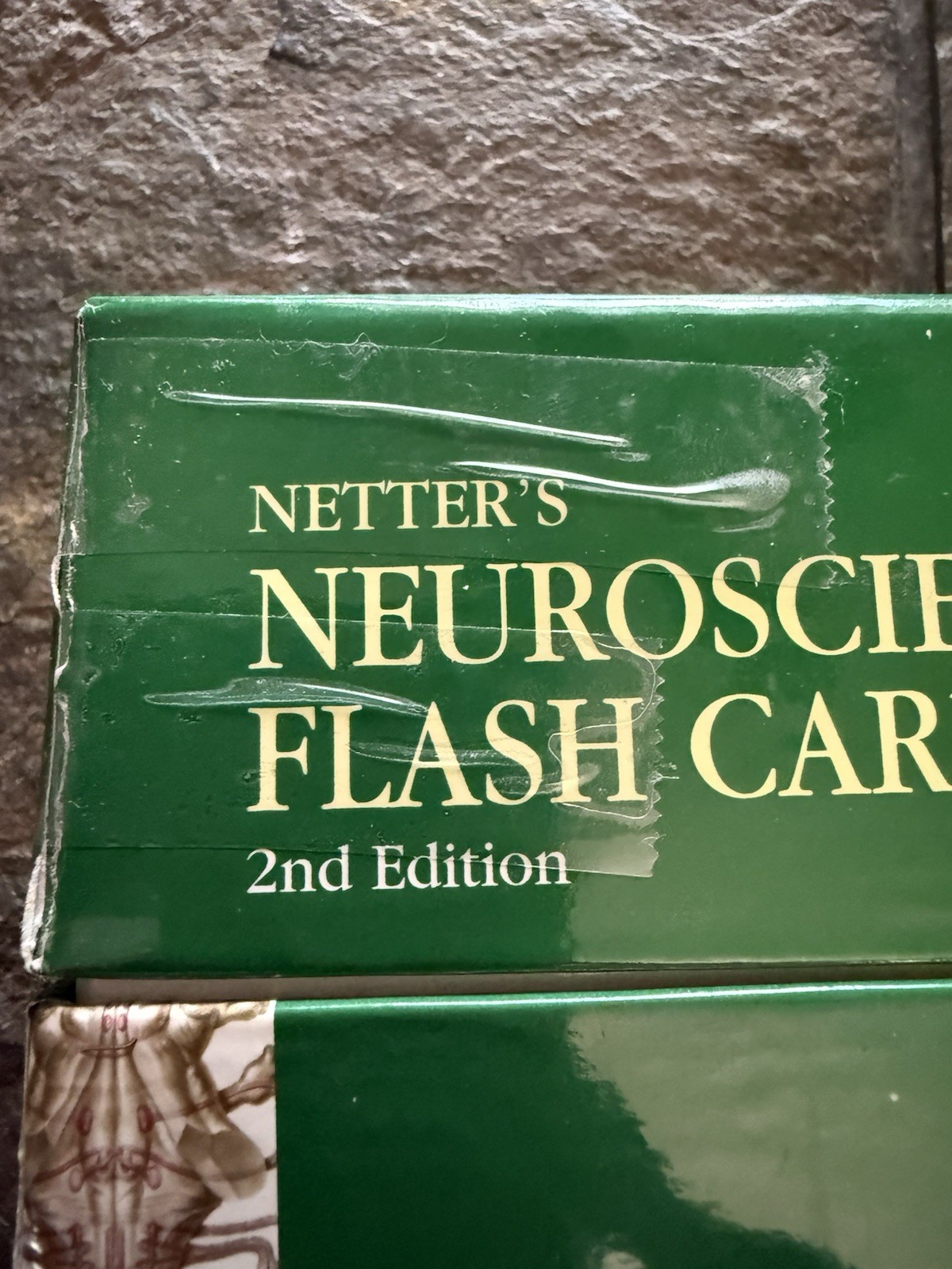 Netter Basic Science Ser.: Netter’s Neuroscience Flash Cards by David L. Felten