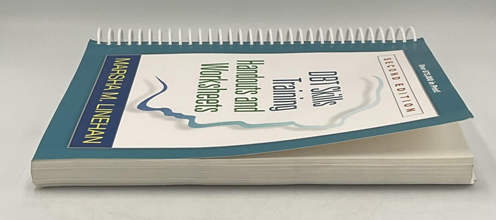 DBT Skills Training Handouts & Worksheets 2nd Ed Linehan Guilford Korea Teal