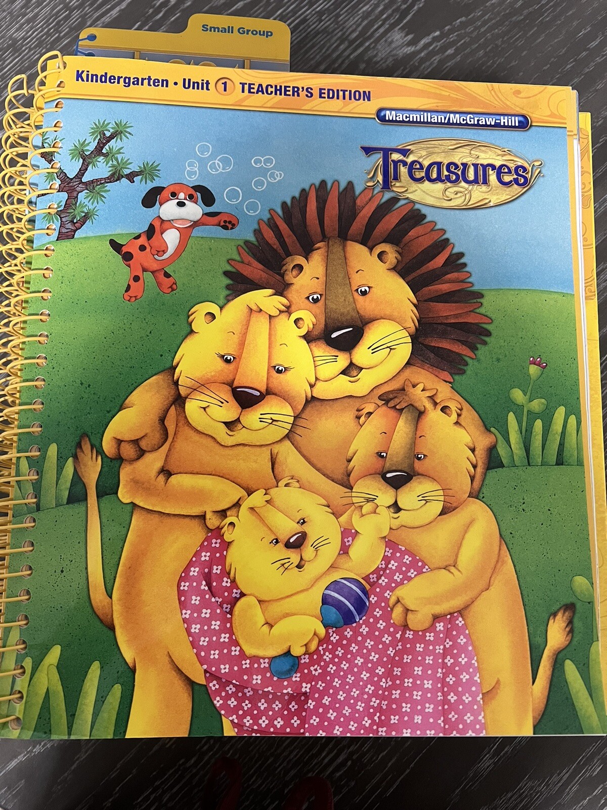 Macmillan McGraw Hill Treasures Grade K Kindergarten Teacher’s Edition 1-8 & 10